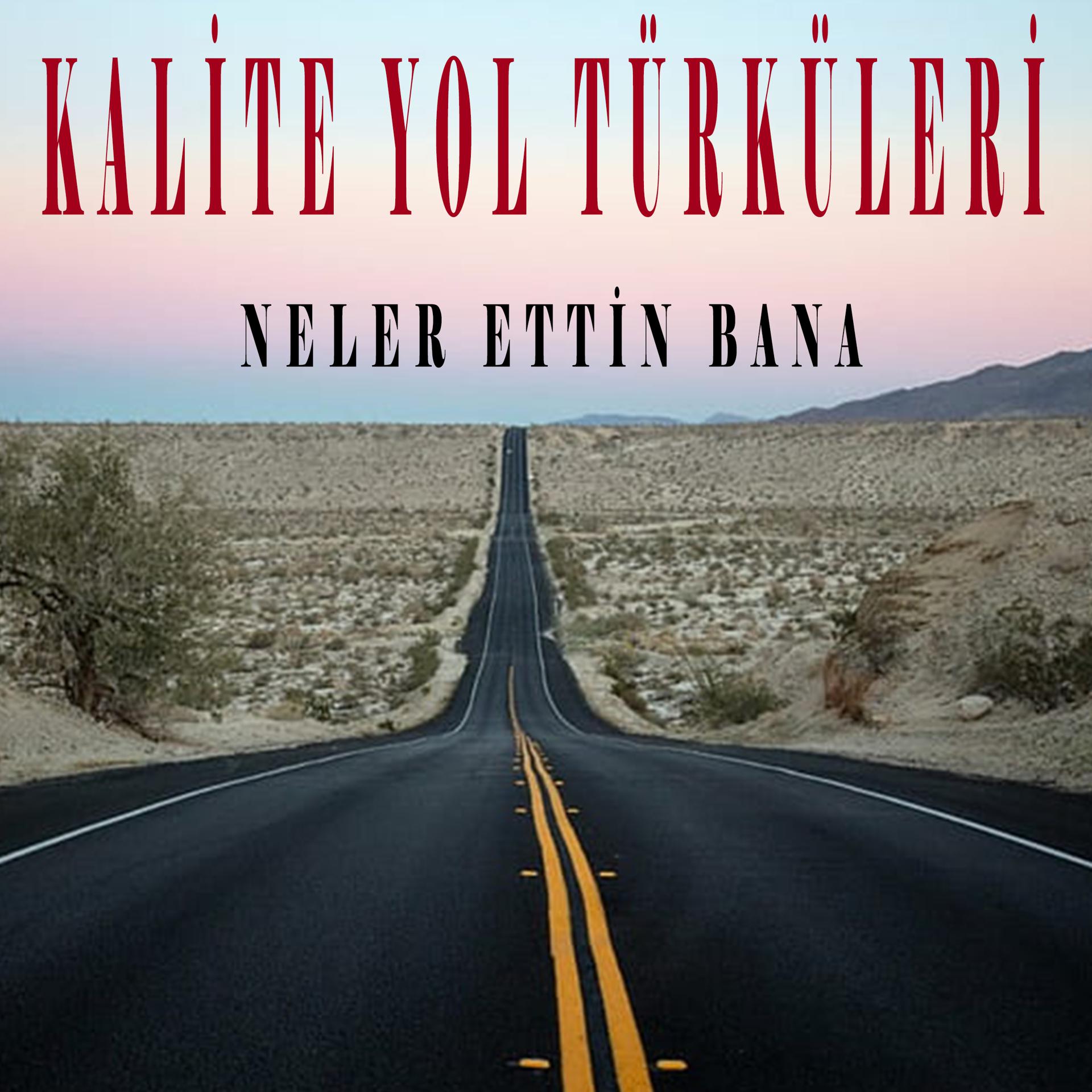 Постер альбома Neler Ettin Bana
