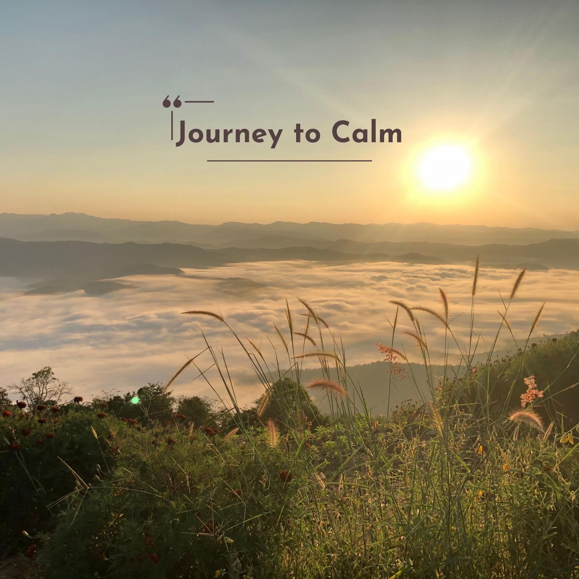 Постер альбома Journey to Calm