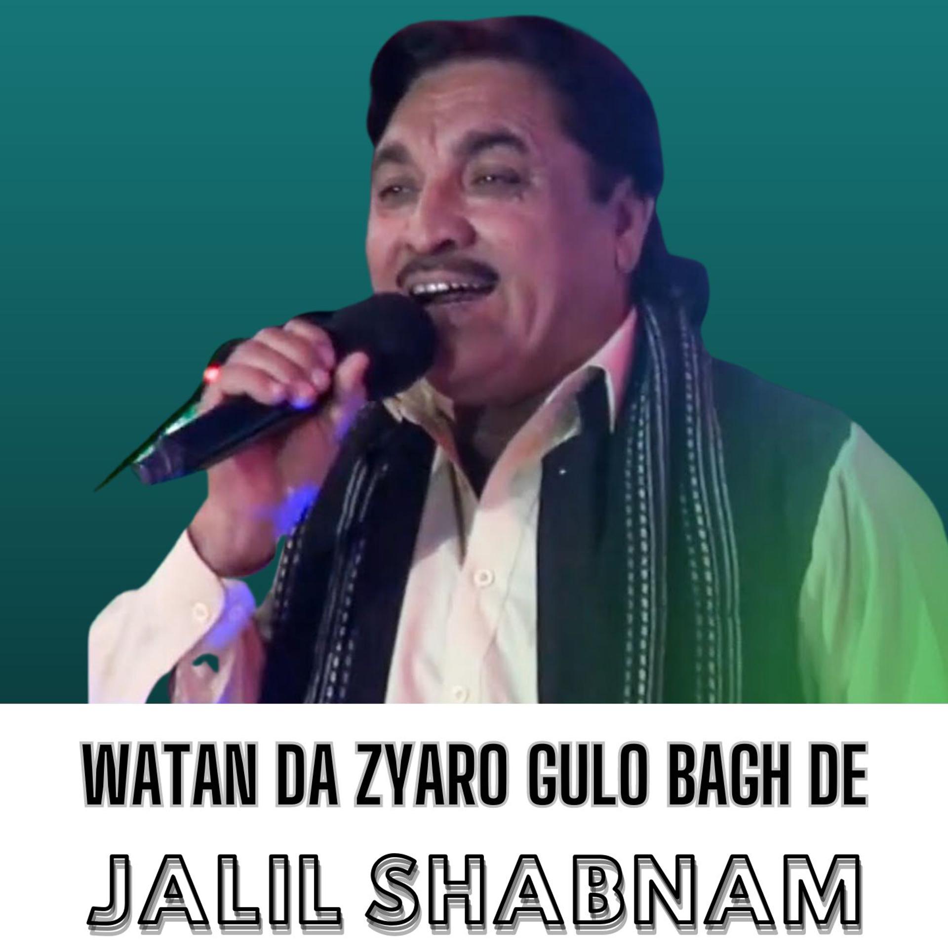 Постер альбома Watan Da Zyaro Gulo Bagh De