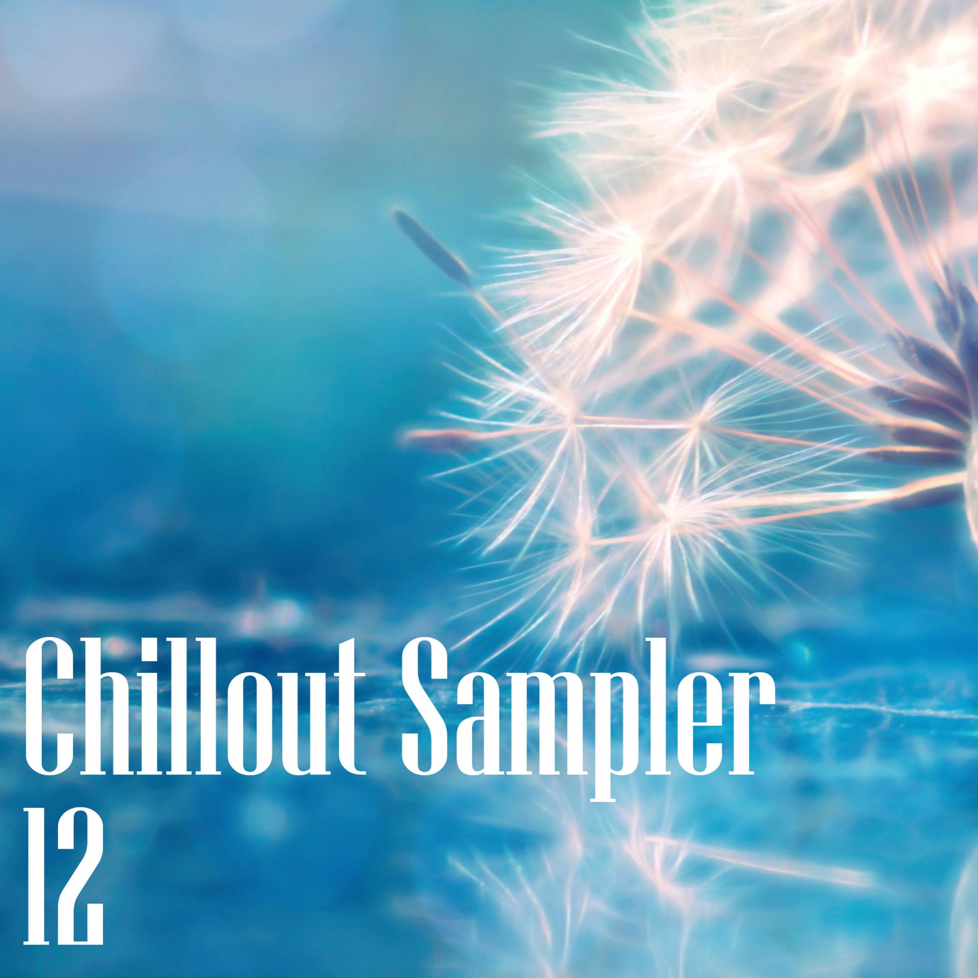 Постер альбома Chillout Sampler 12