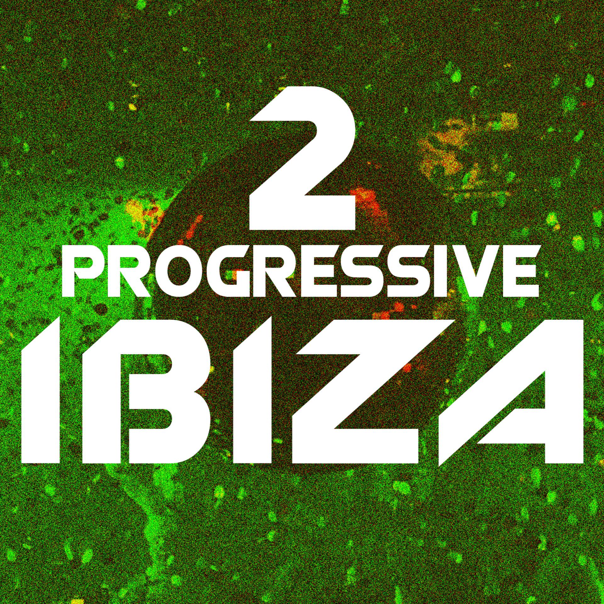 Постер альбома Progressive Ibiza, Vol. 2