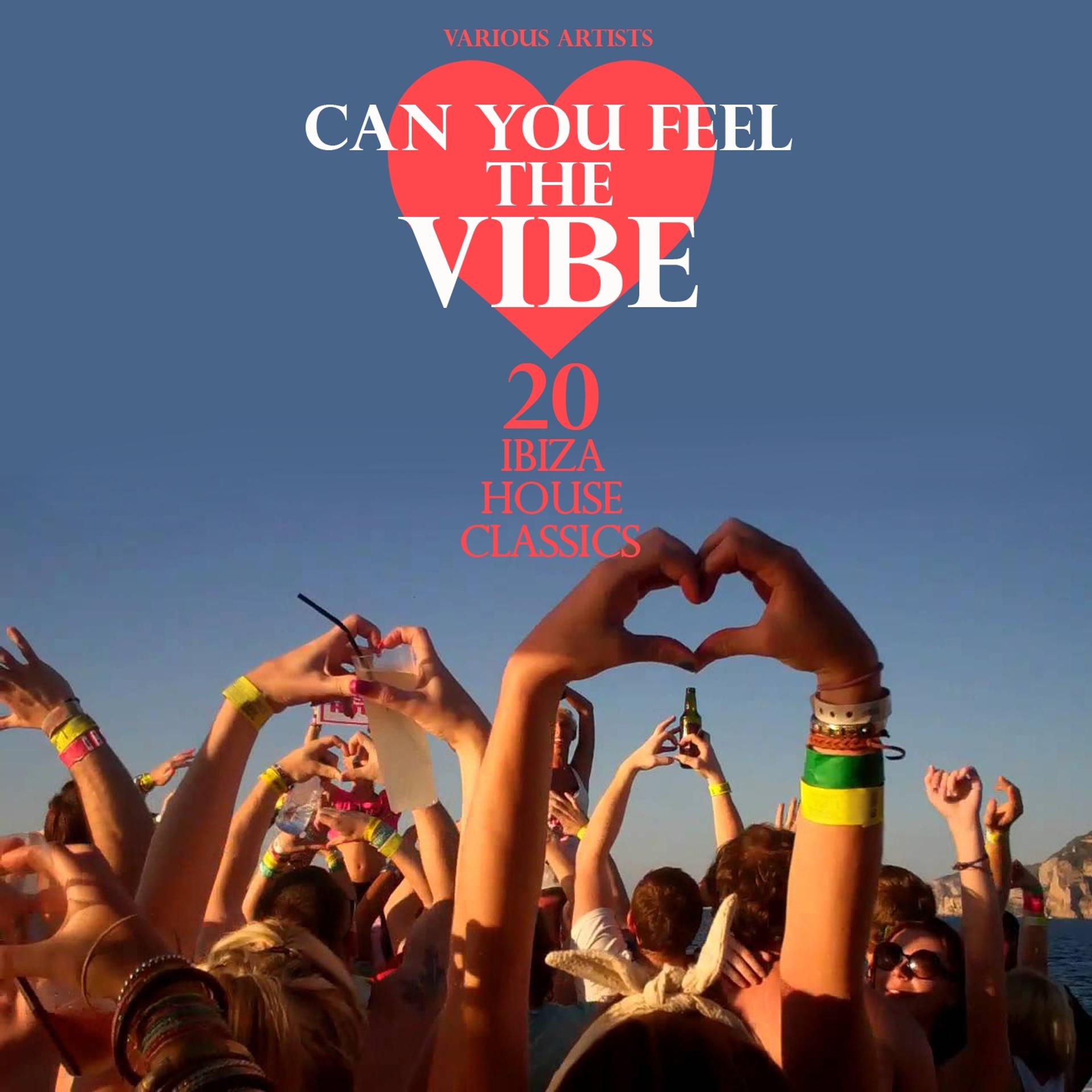 Постер альбома Can You Feel the Vibe (20 Ibiza House Classics)