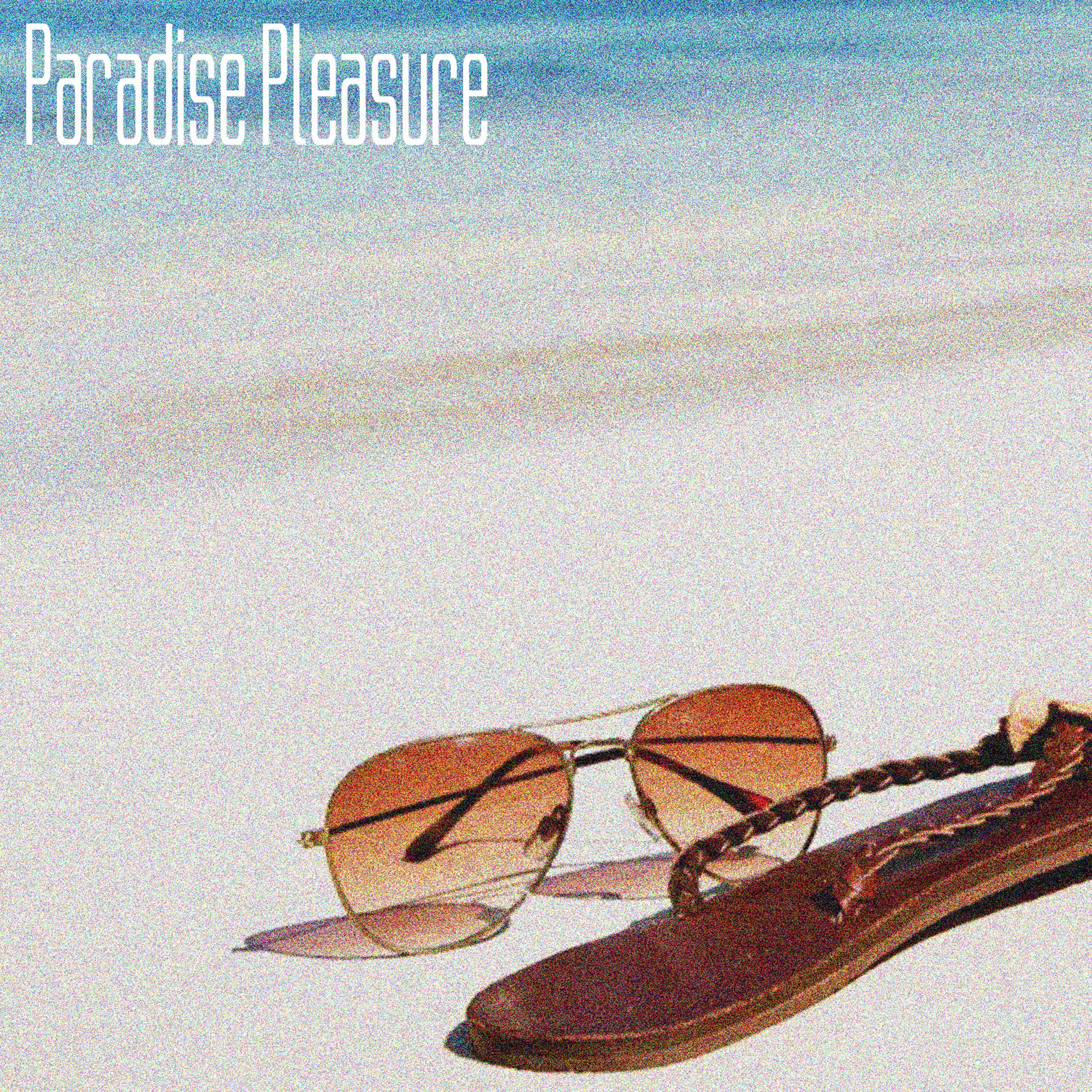 Постер альбома Paradise Pleasure