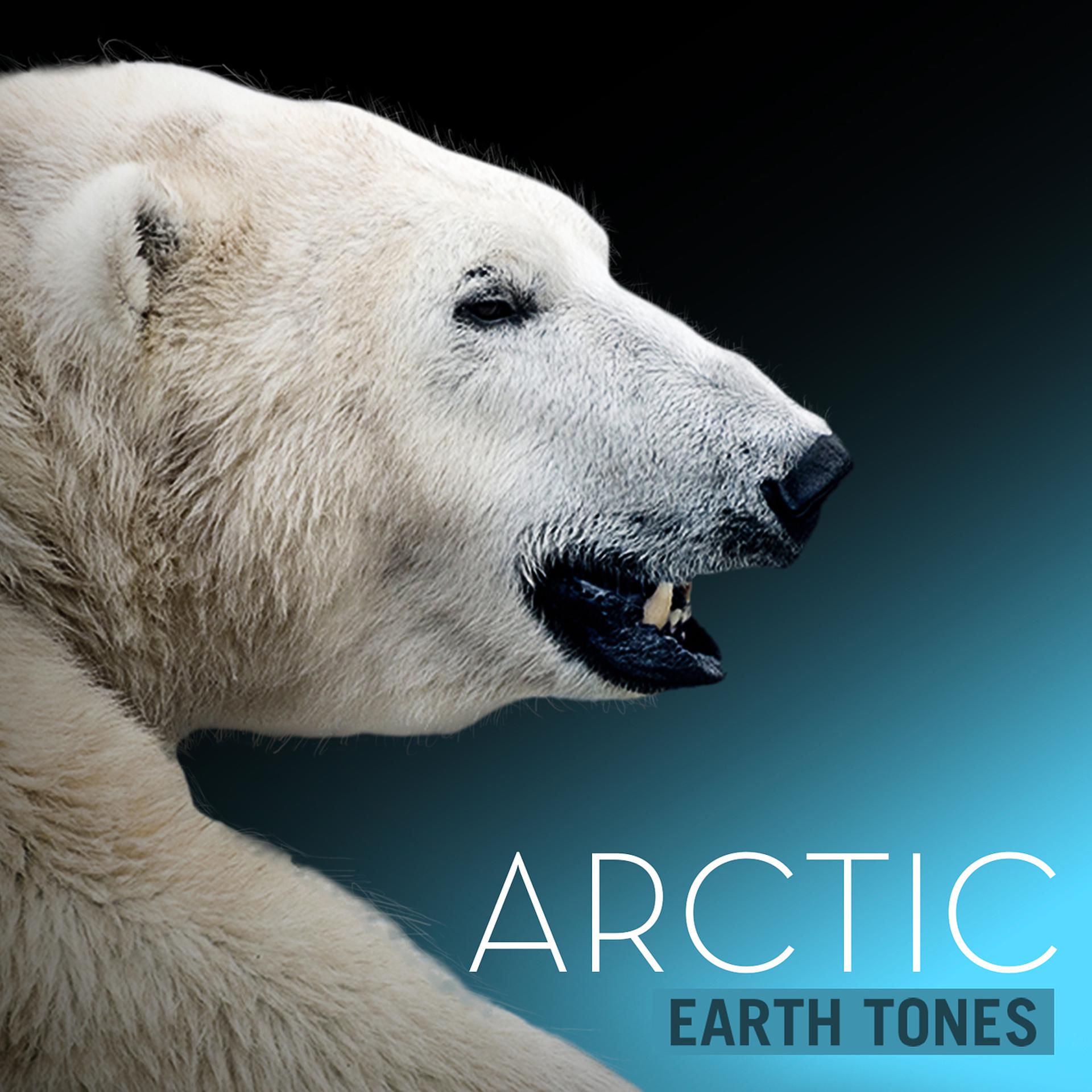 Постер альбома Earth Tones: Arctic