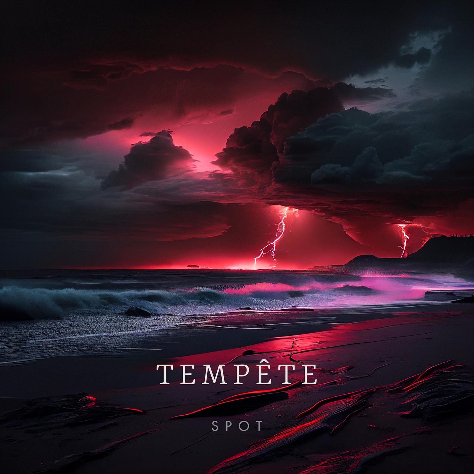 Постер альбома Tempête