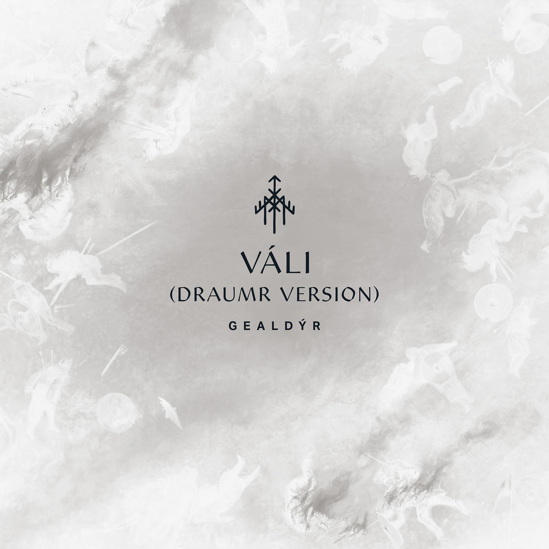 Постер альбома Váli (Draumr Version)