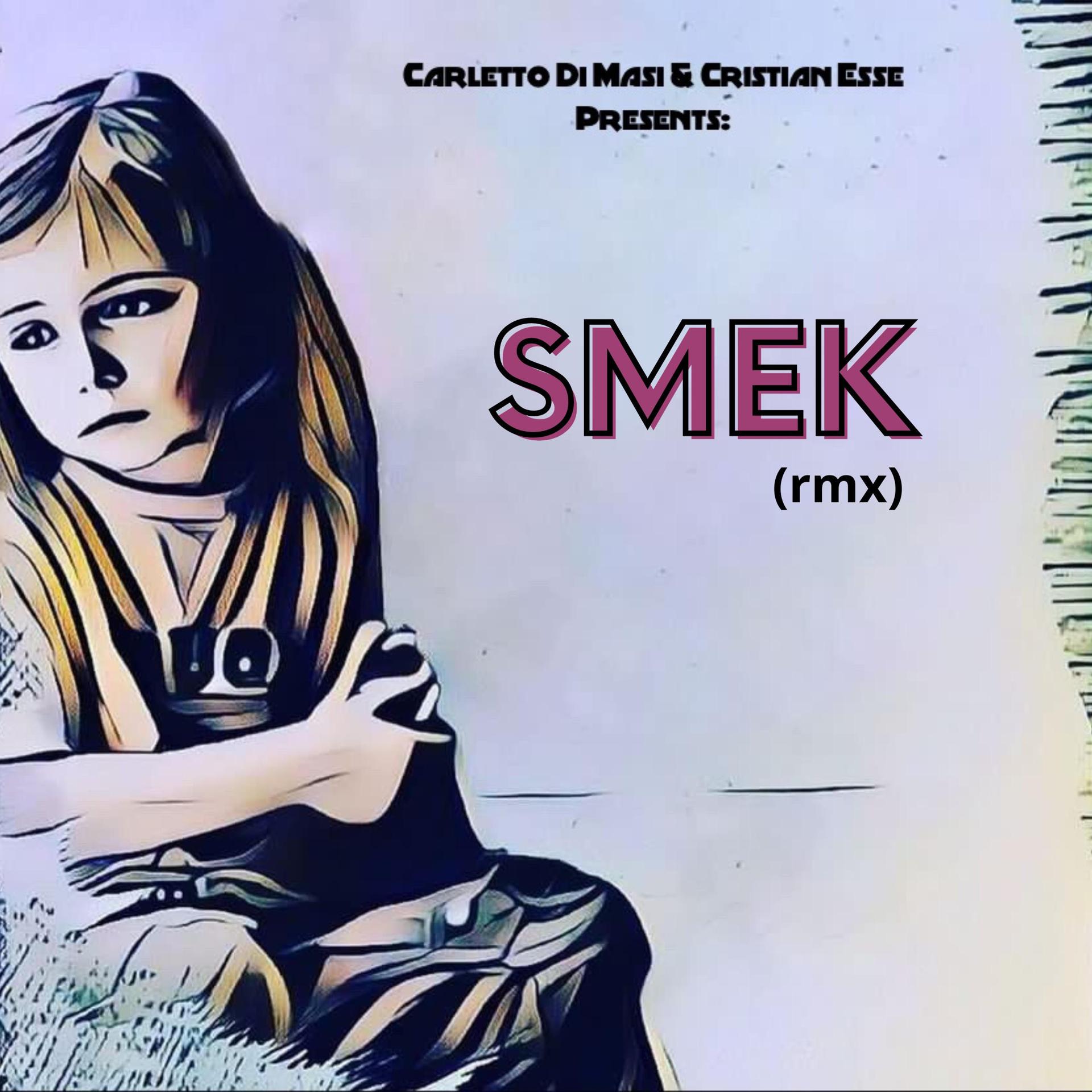 Постер альбома Smek