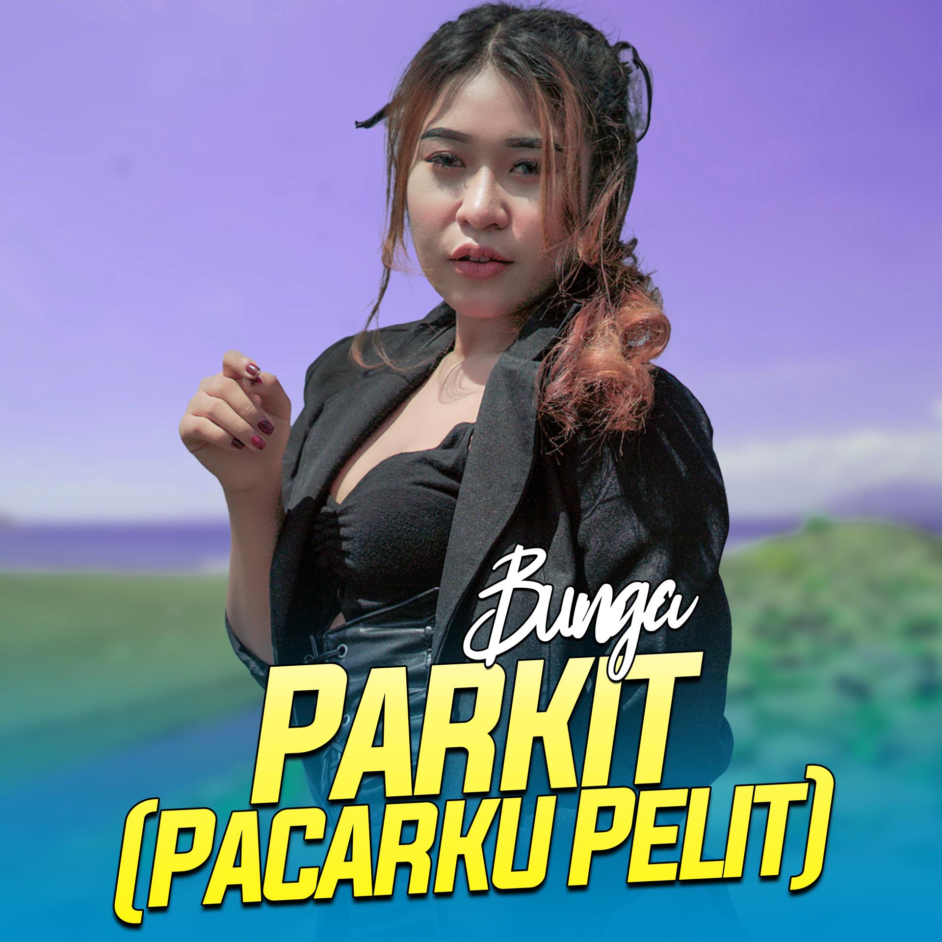 Постер альбома Parkit