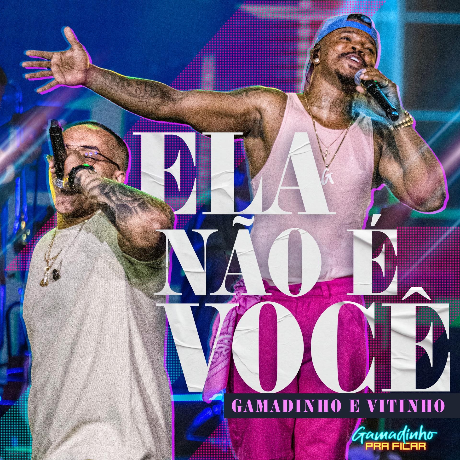 Постер альбома Ela Não É Você