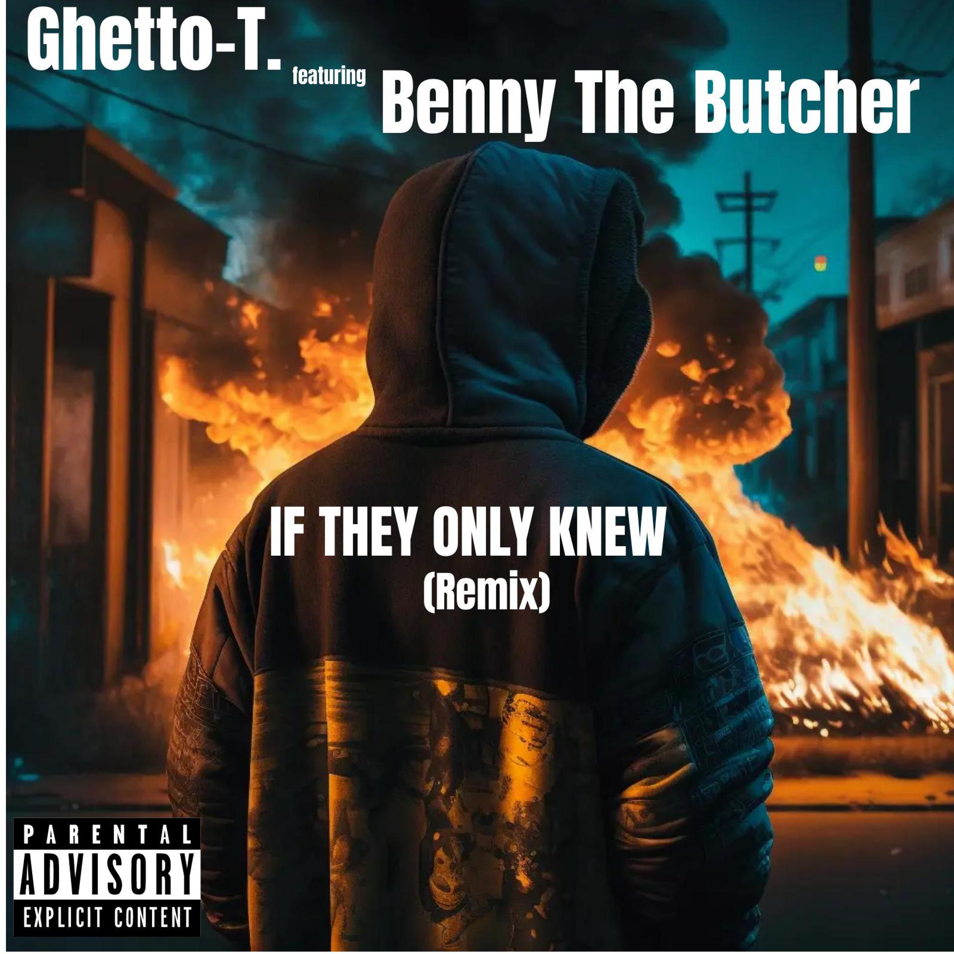 Постер альбома If They Only Knew (Remix) (feat. Benny The Butcher)