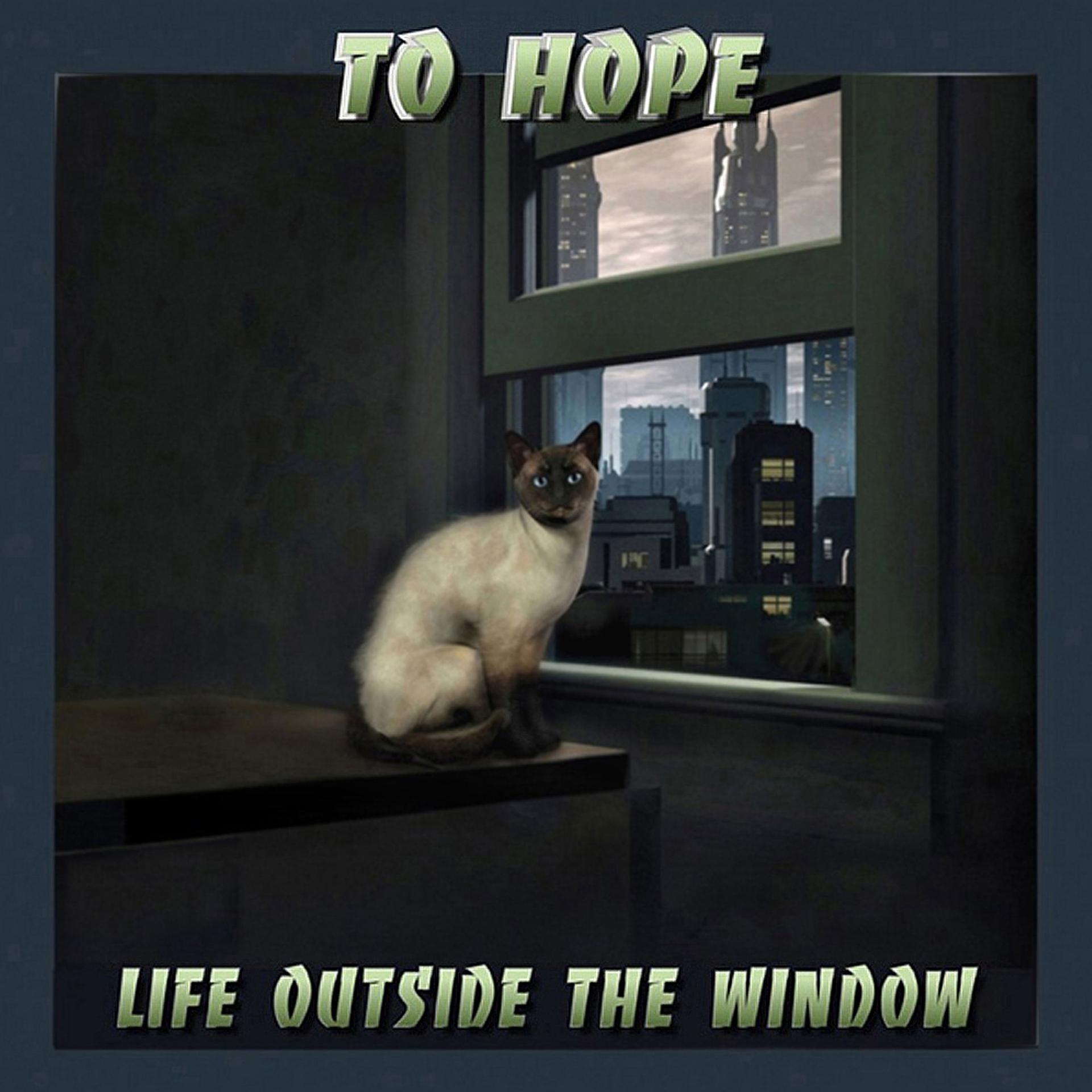 Постер альбома Life outside the window