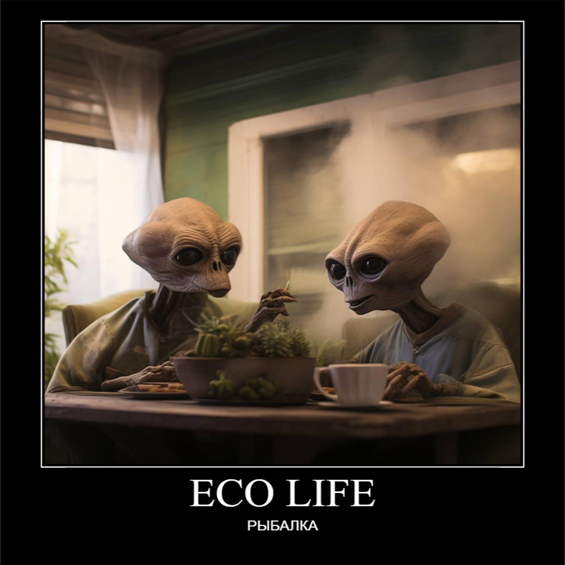 Постер альбома Eco Life