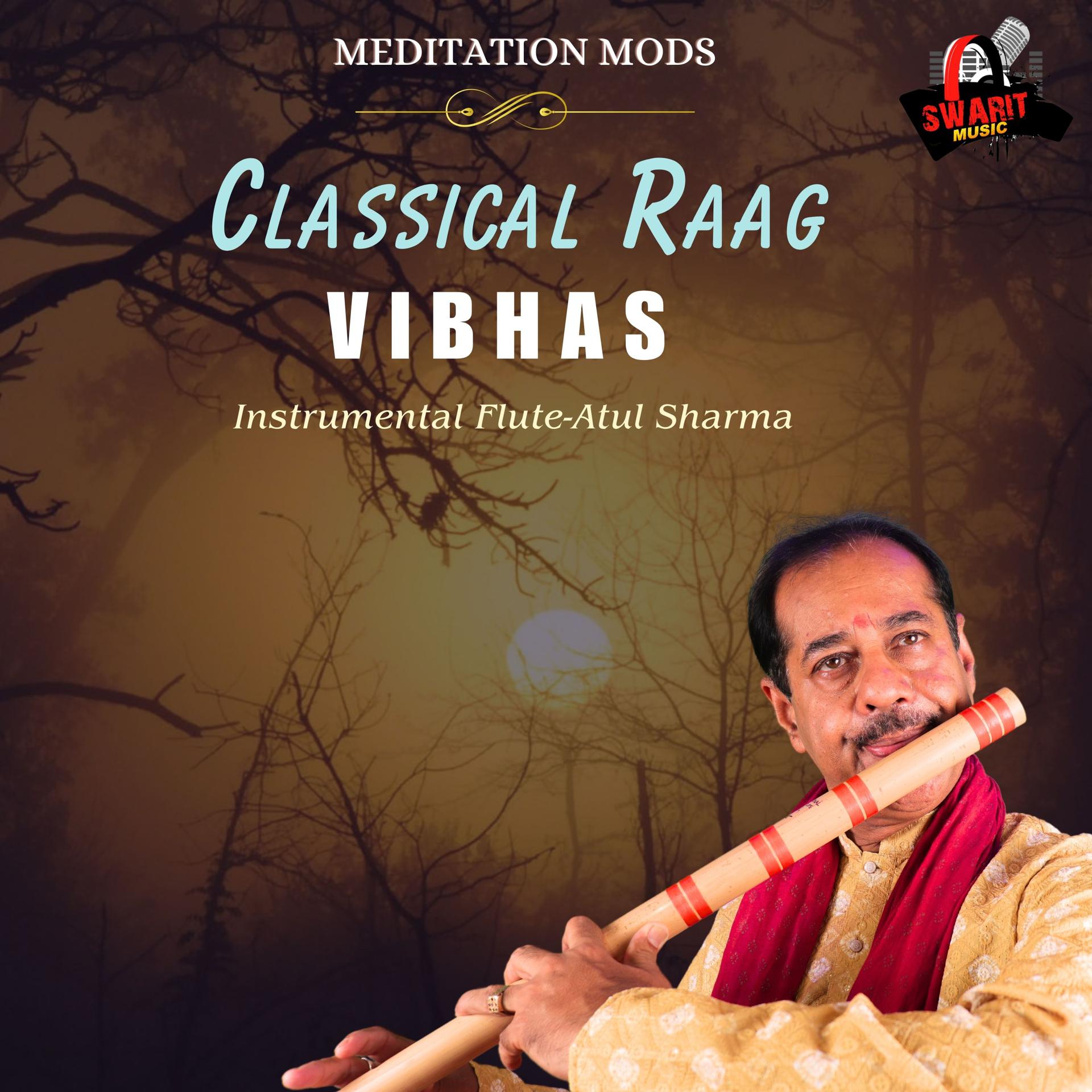 Постер альбома Raag Vibhas