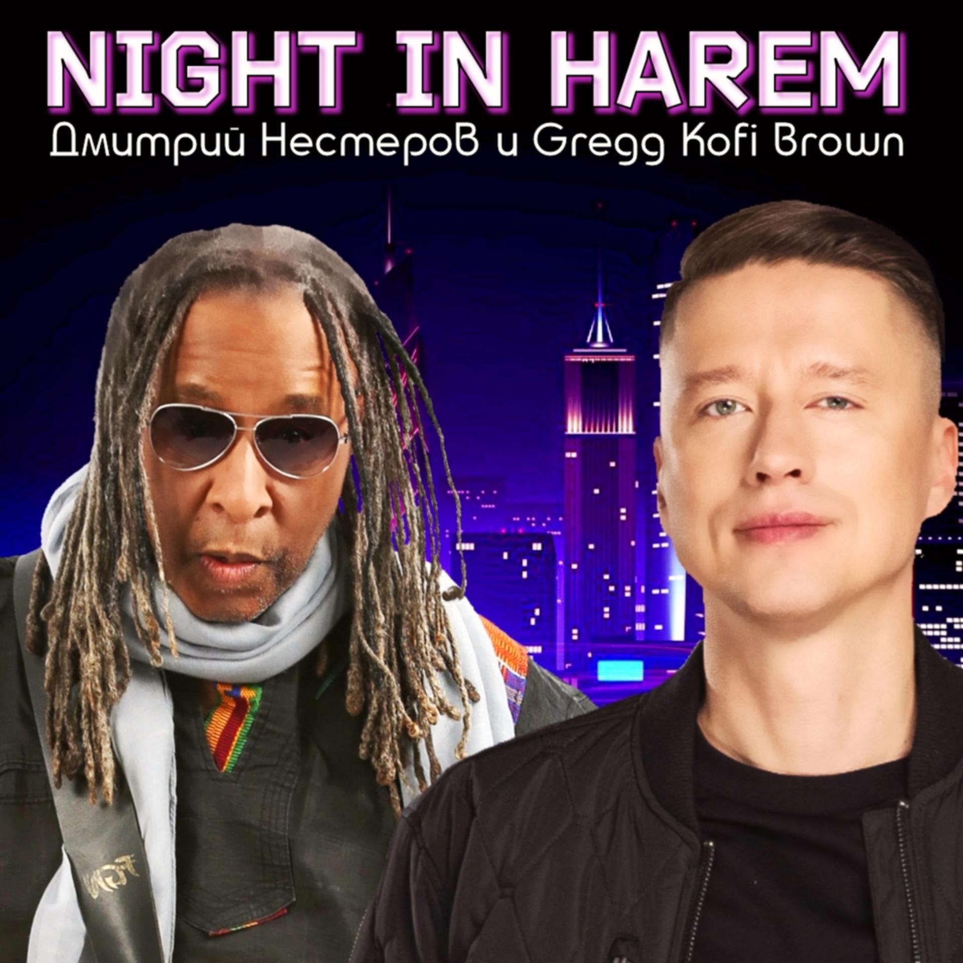 Постер альбома Night in Harem