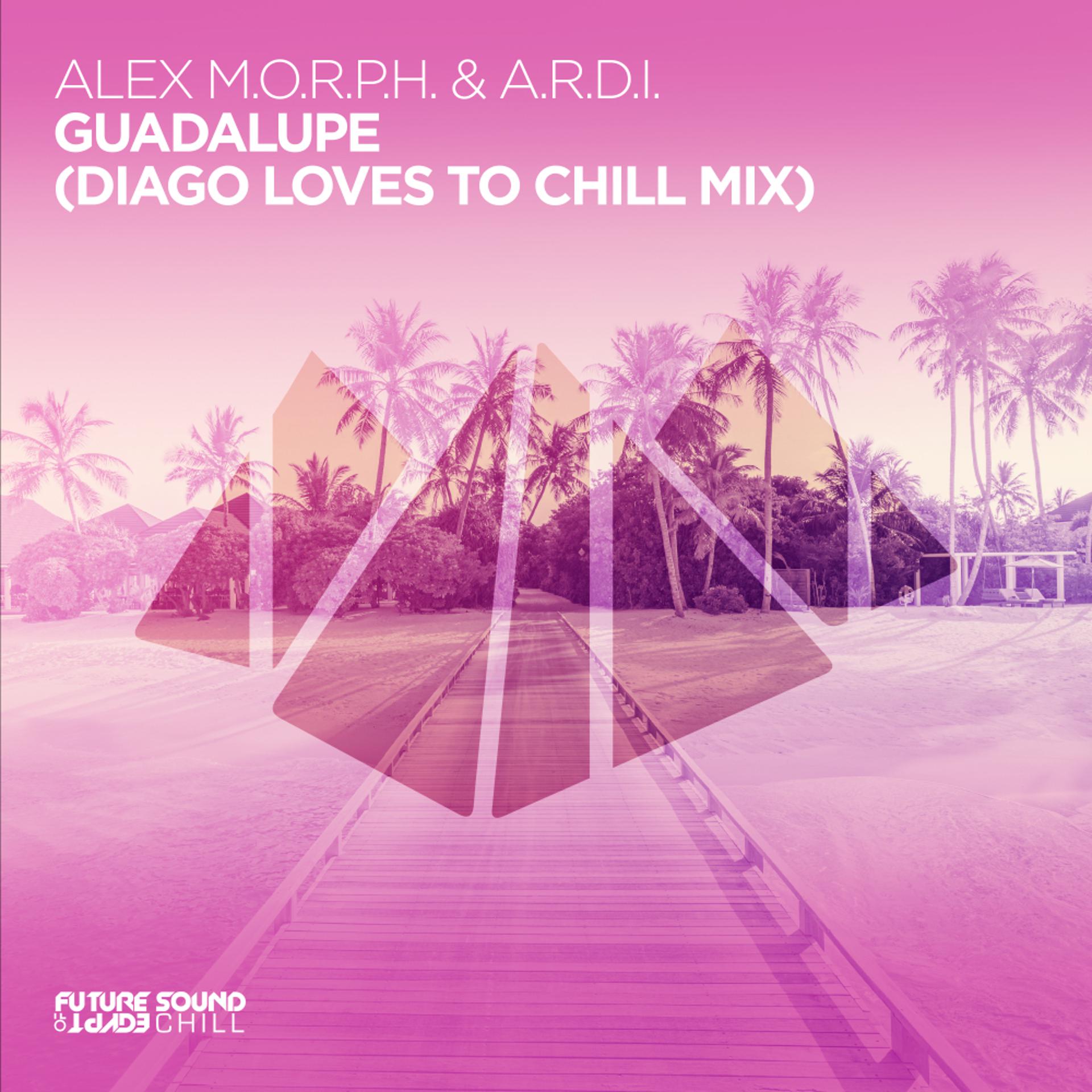 Постер альбома Guadalupe (Diago Loves To Chill Mix)