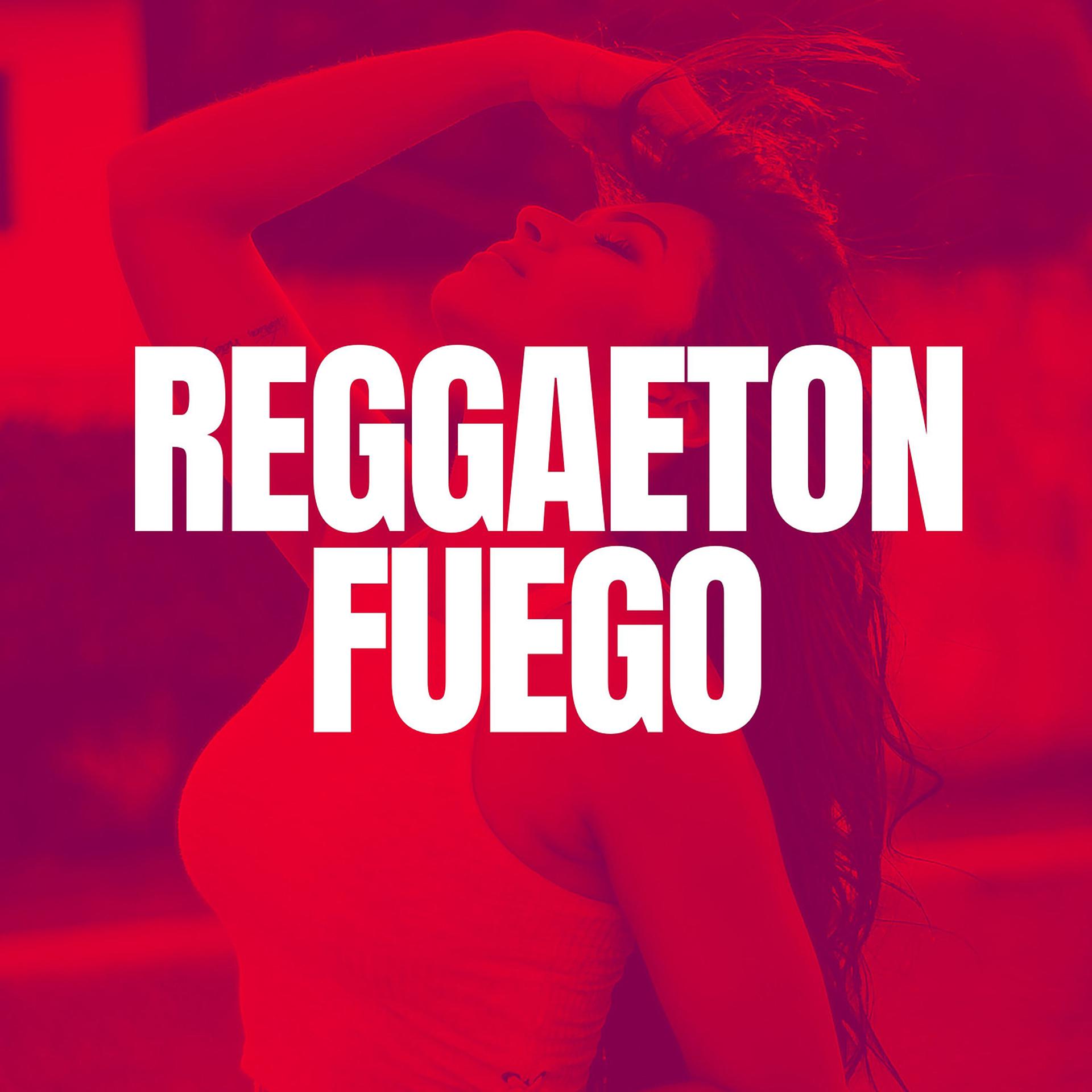 Постер альбома Reggaeton Fuego