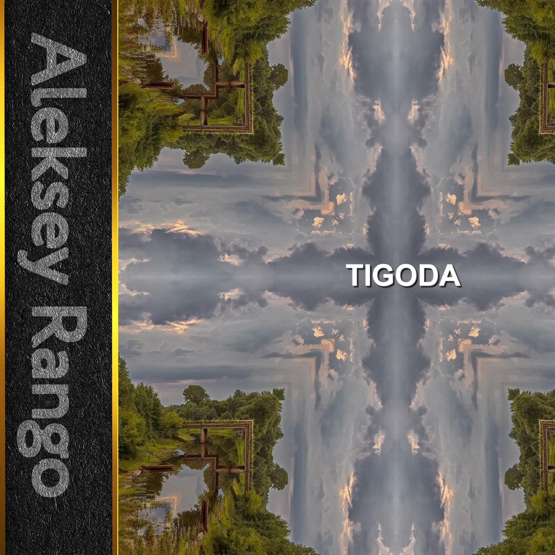 Постер альбома Tigoda