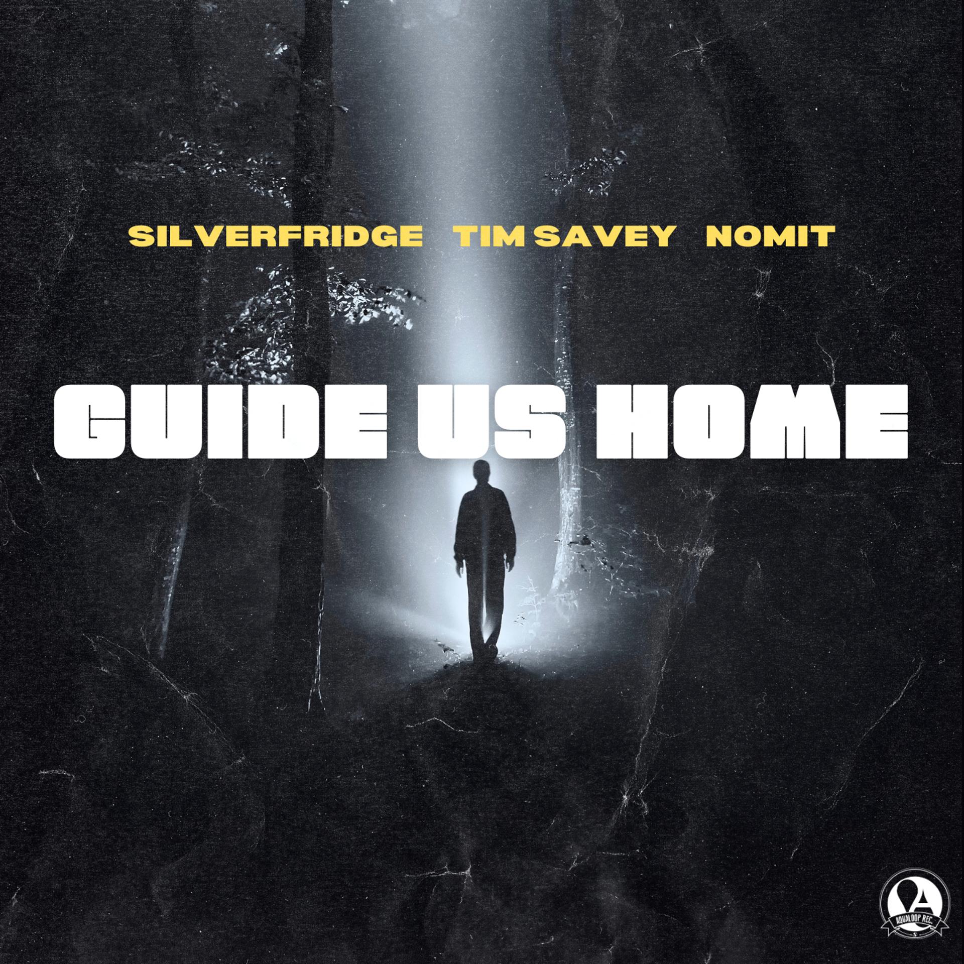 Постер альбома Guide Us Home