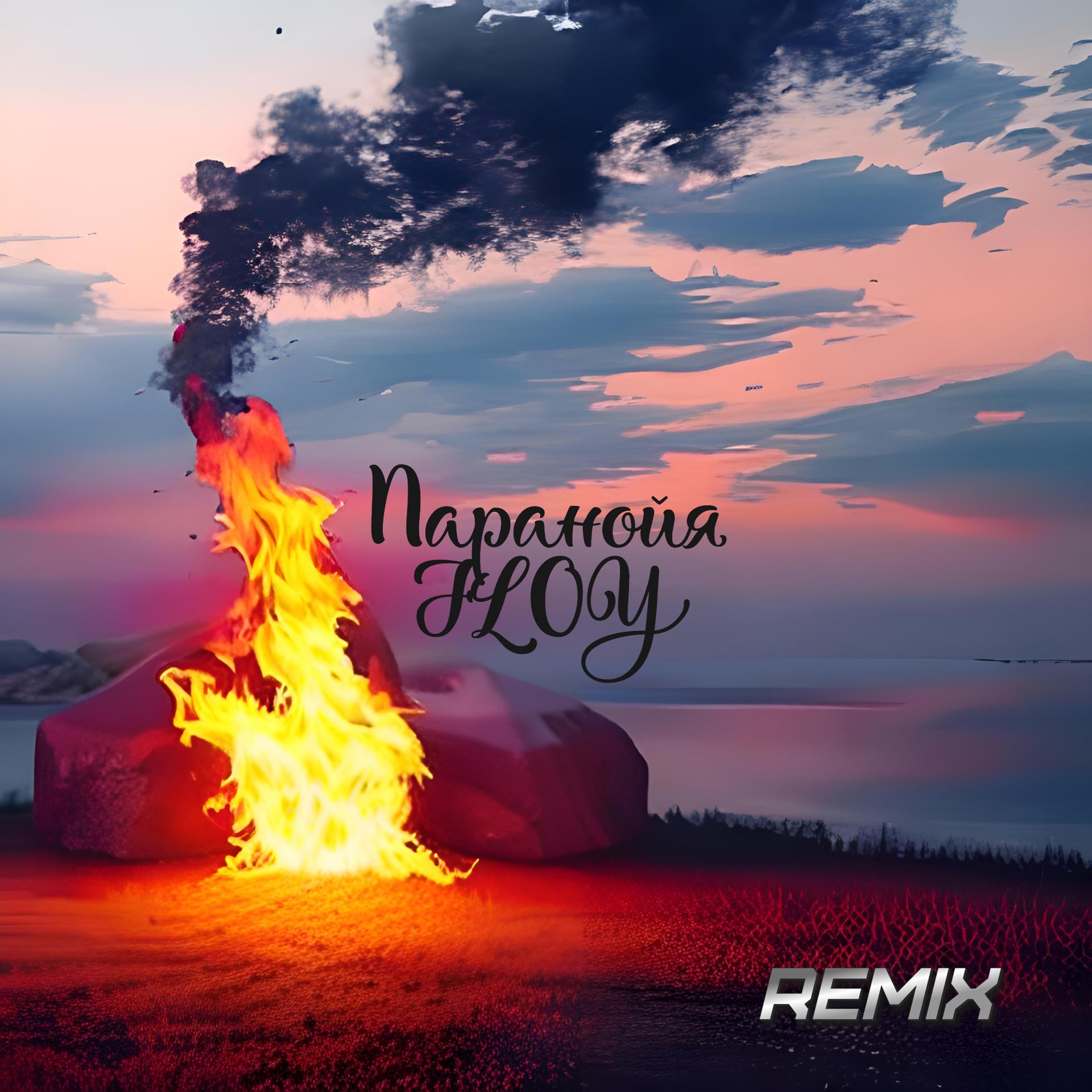 Постер альбома Паранойя (Remix)