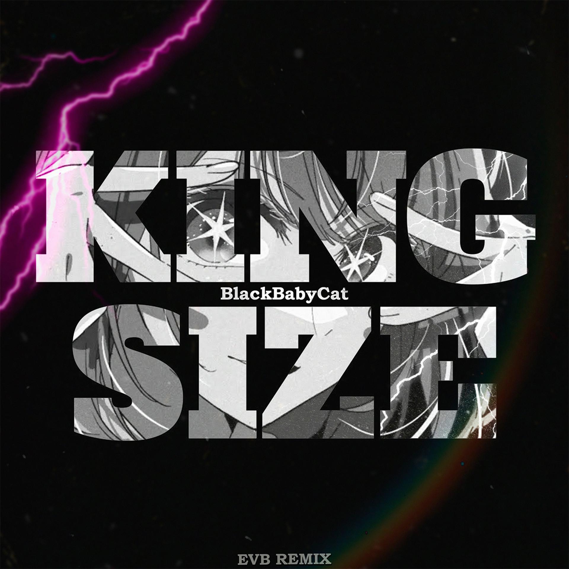 Постер альбома KING SIZE (EVB Remix)