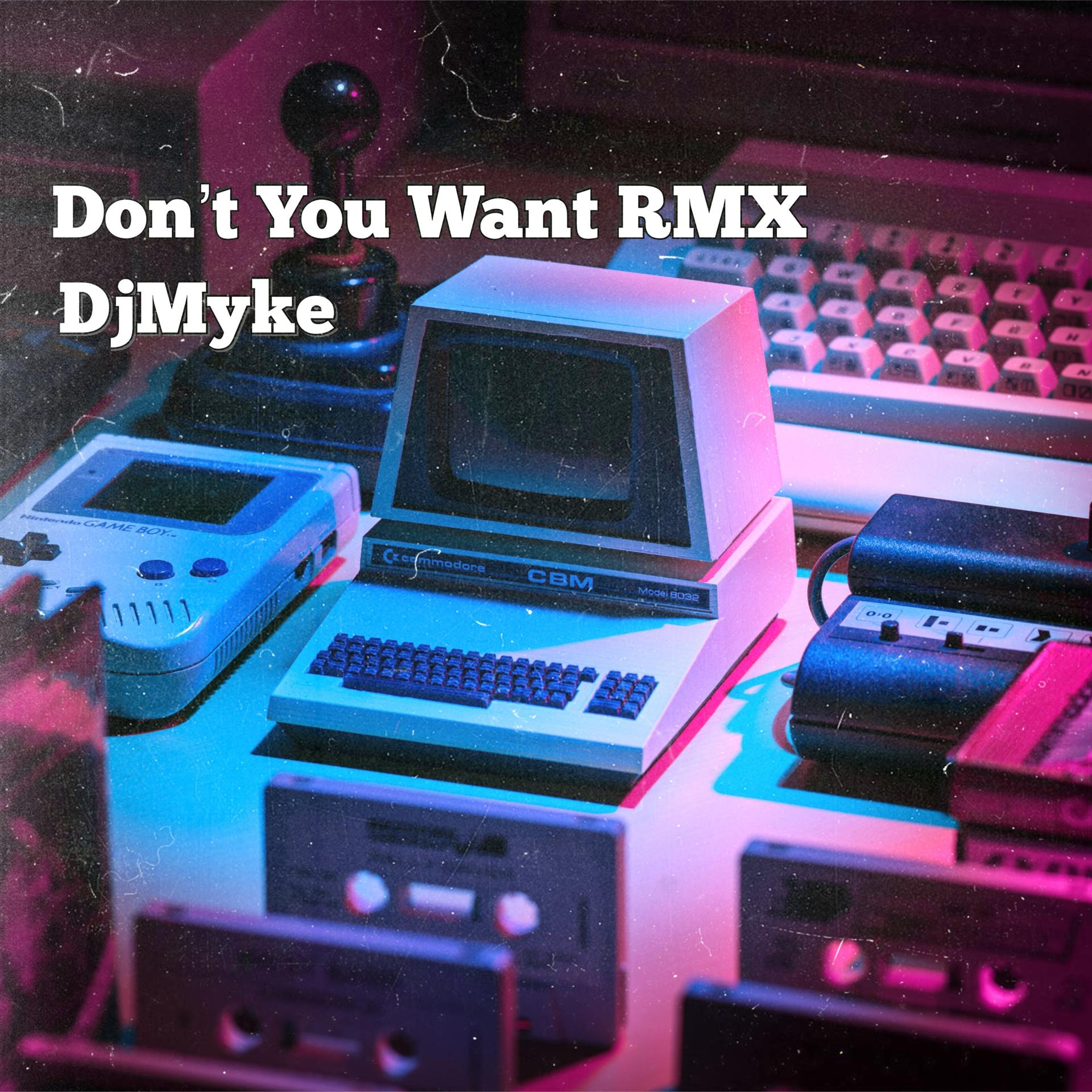 Постер альбома Don't You Want RMX