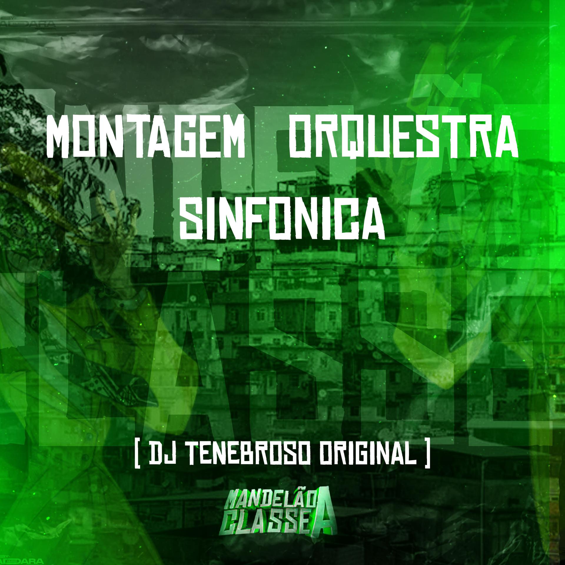 Постер альбома Montagem Orquestra Sinfonica