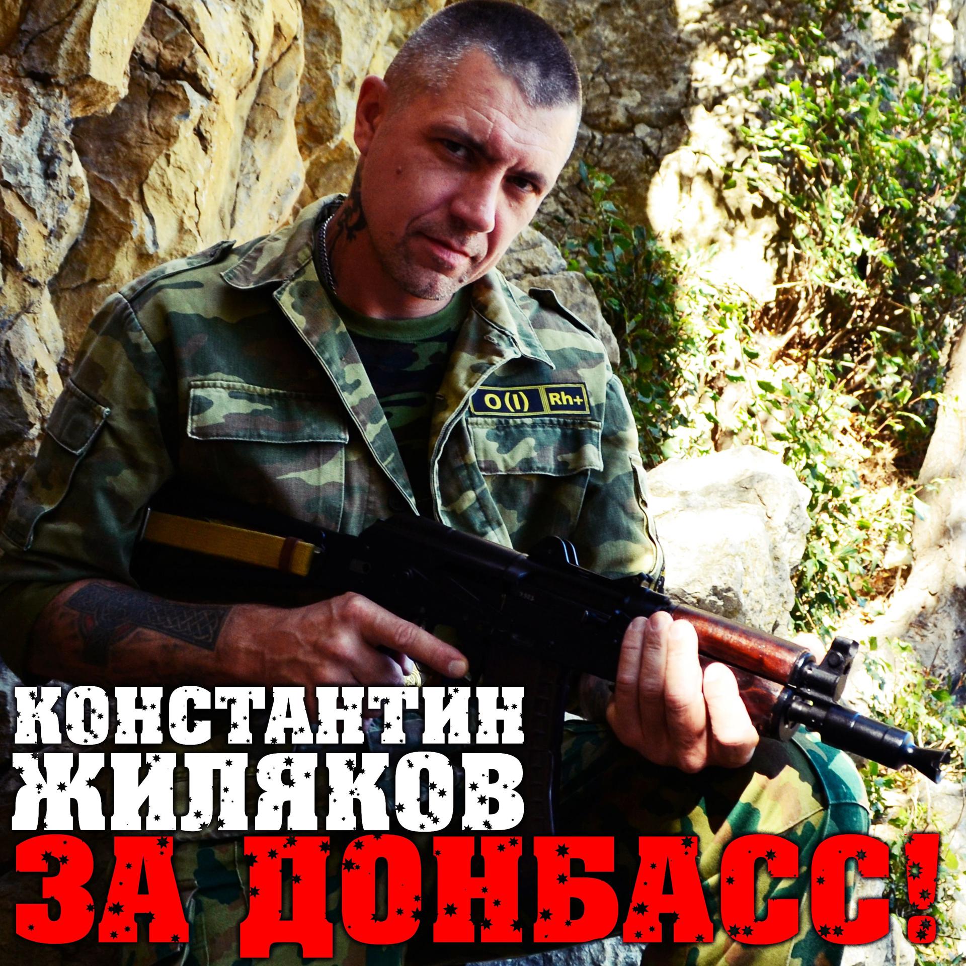 Постер альбома За Донбасс!