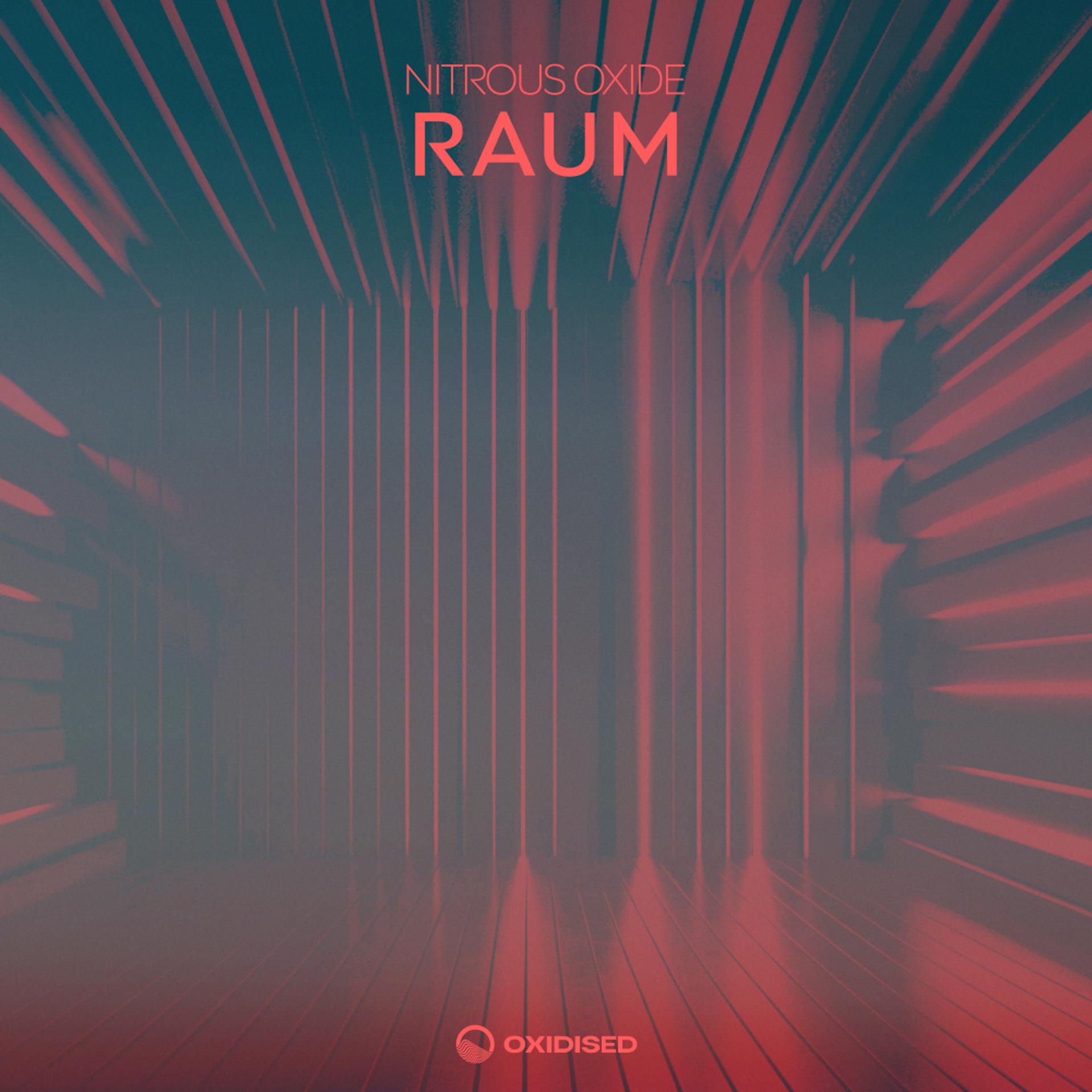 Постер альбома Raum