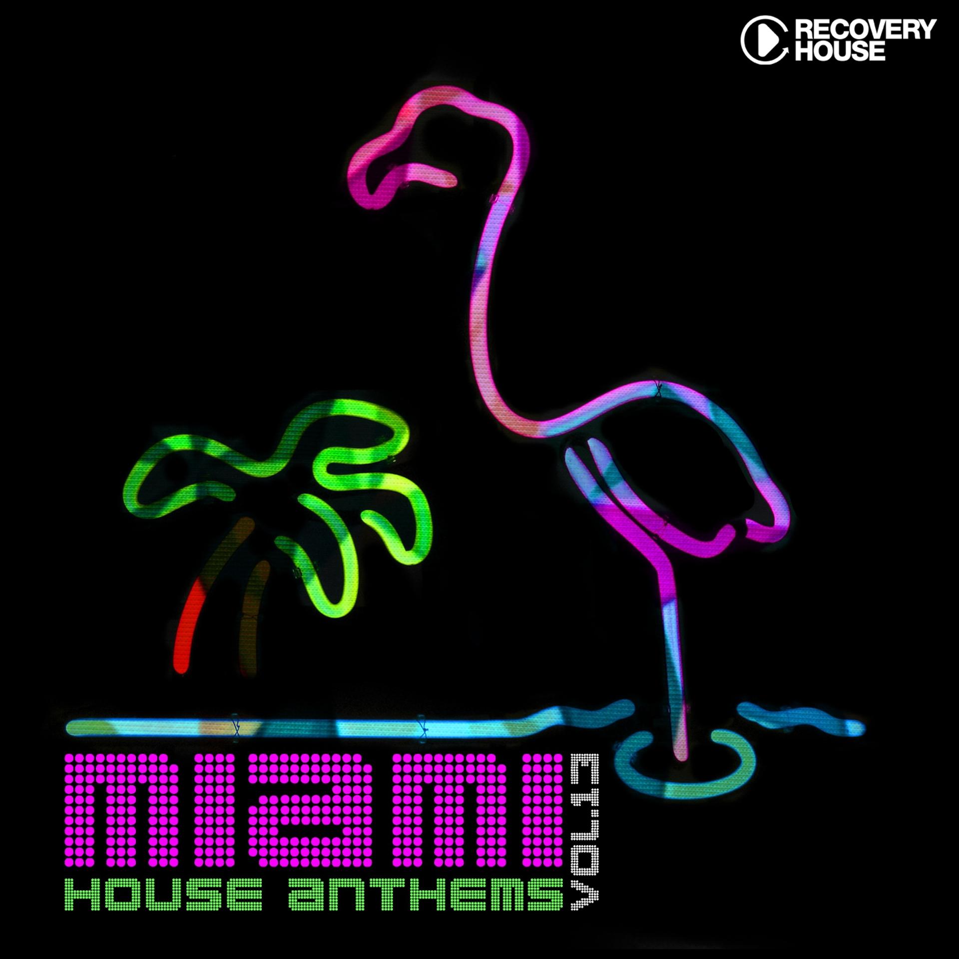 Постер альбома Miami House Anthems, Vol. 13