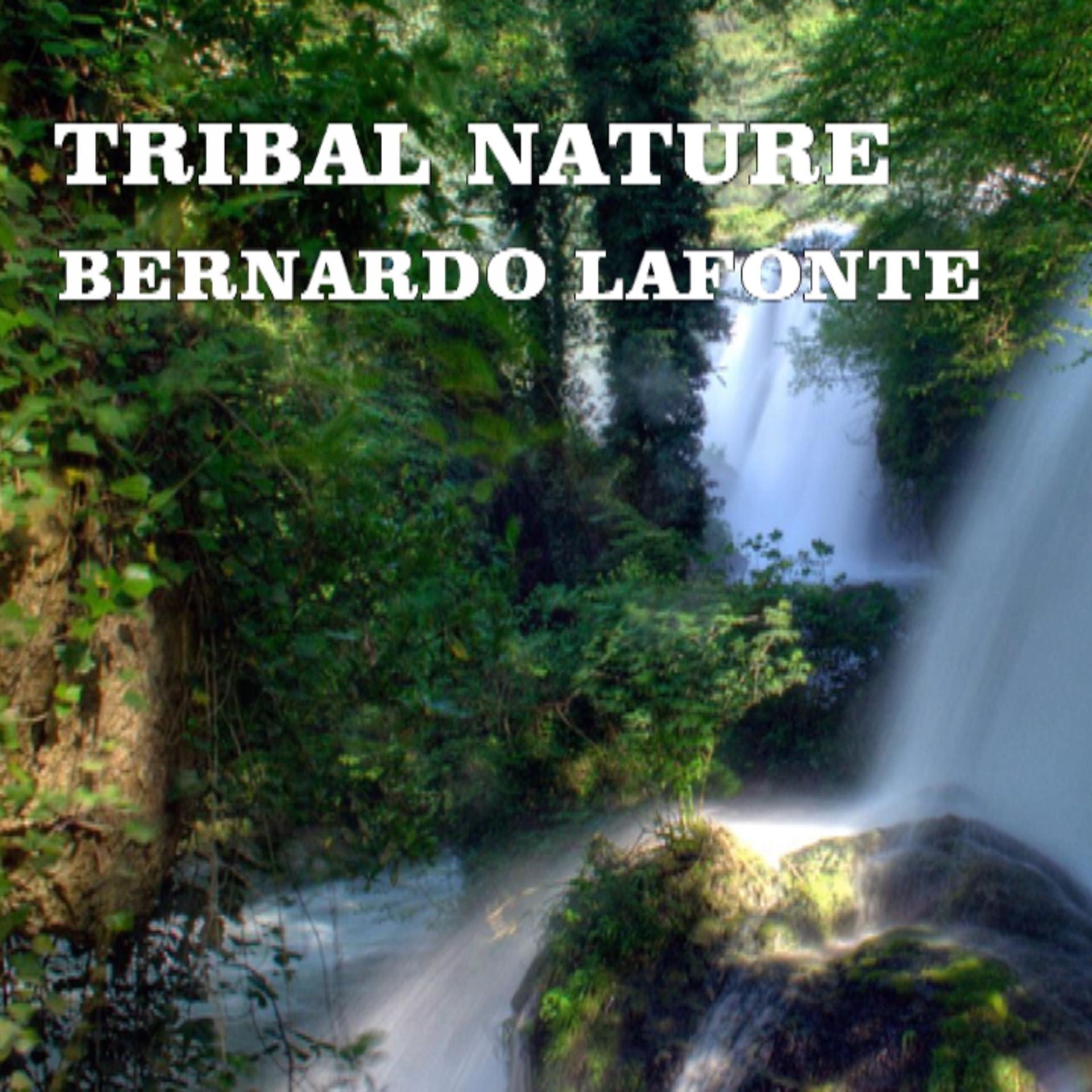 Постер альбома Tribal Nature