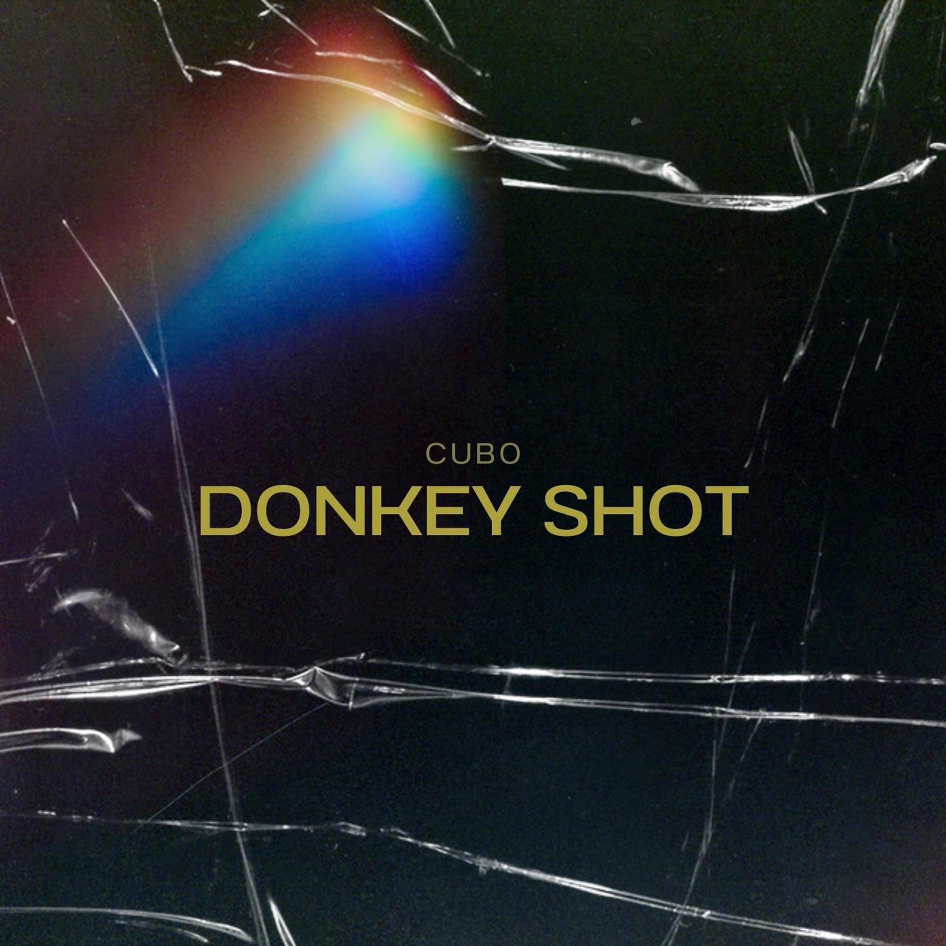 Постер альбома Donkey Shot