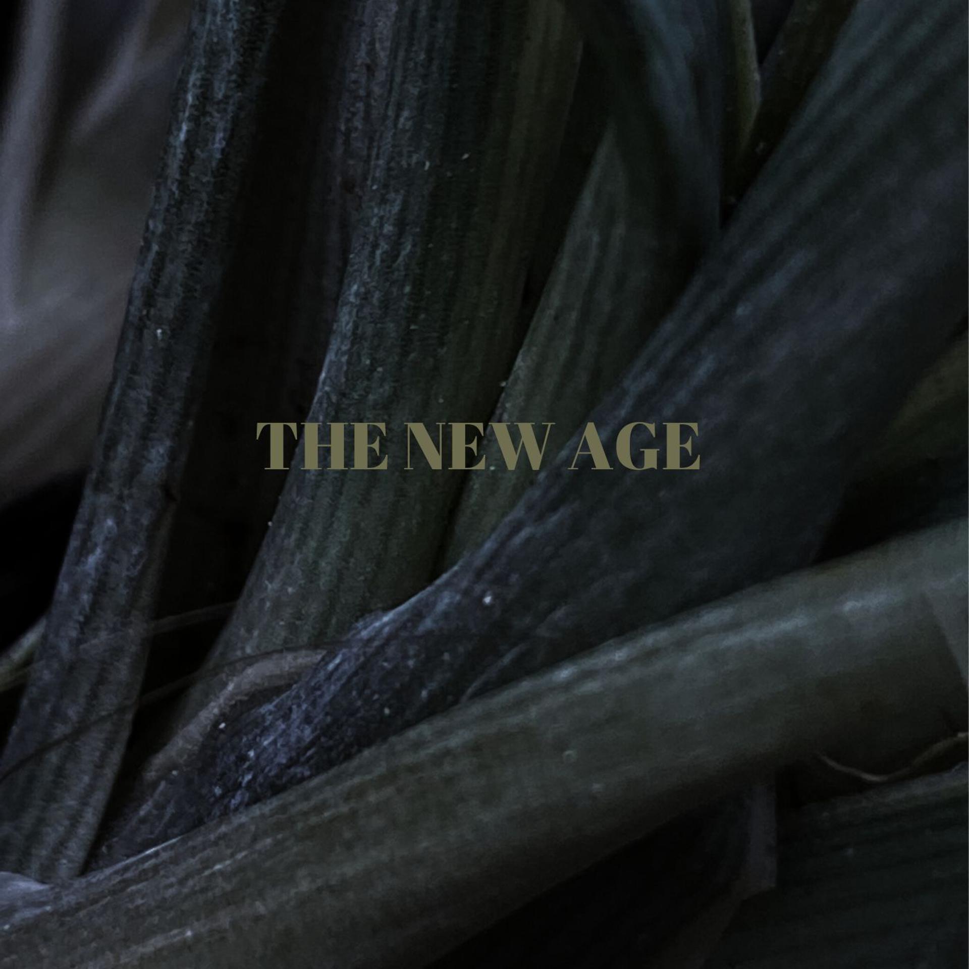 Постер альбома The new age