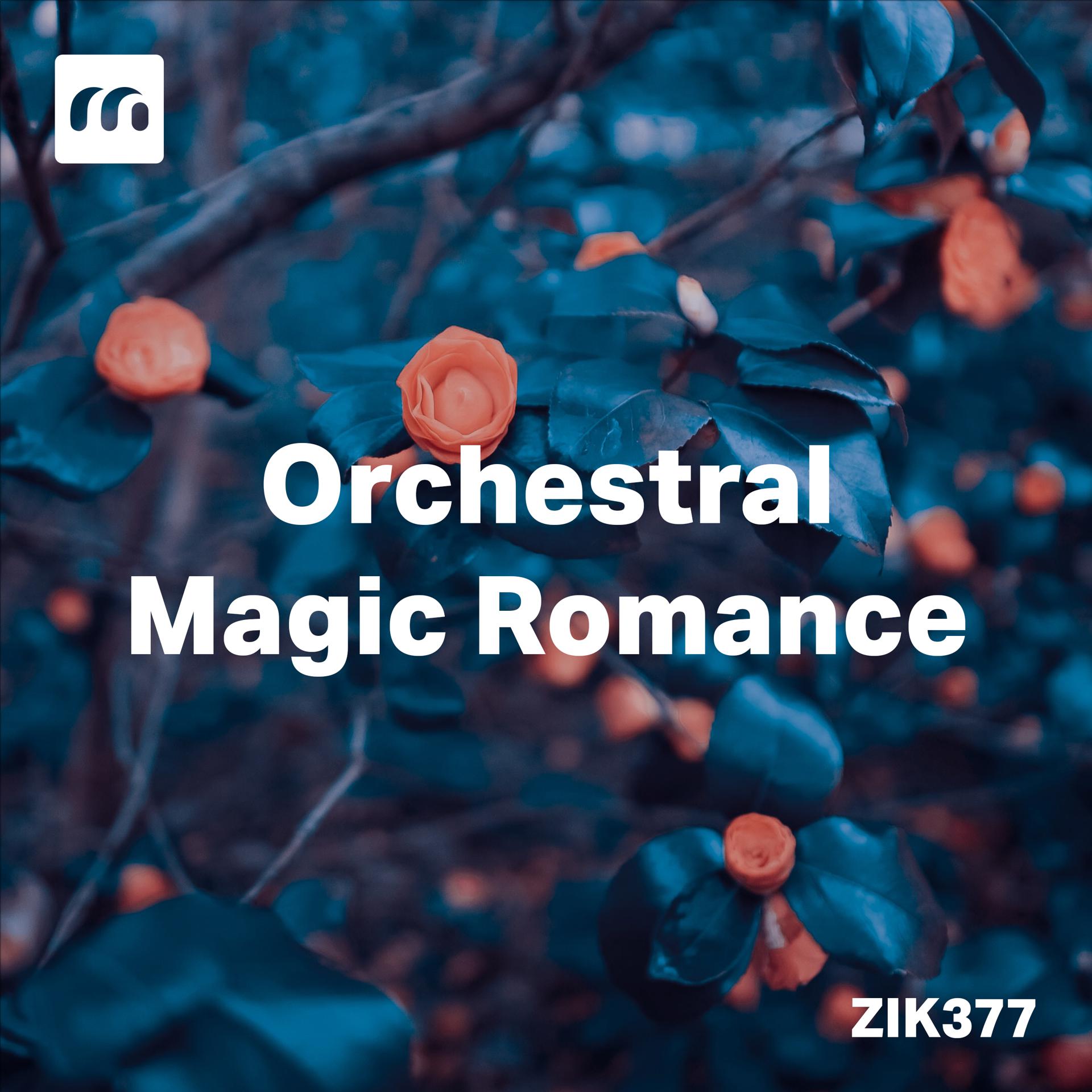 Постер альбома Orchestral Magic Romance