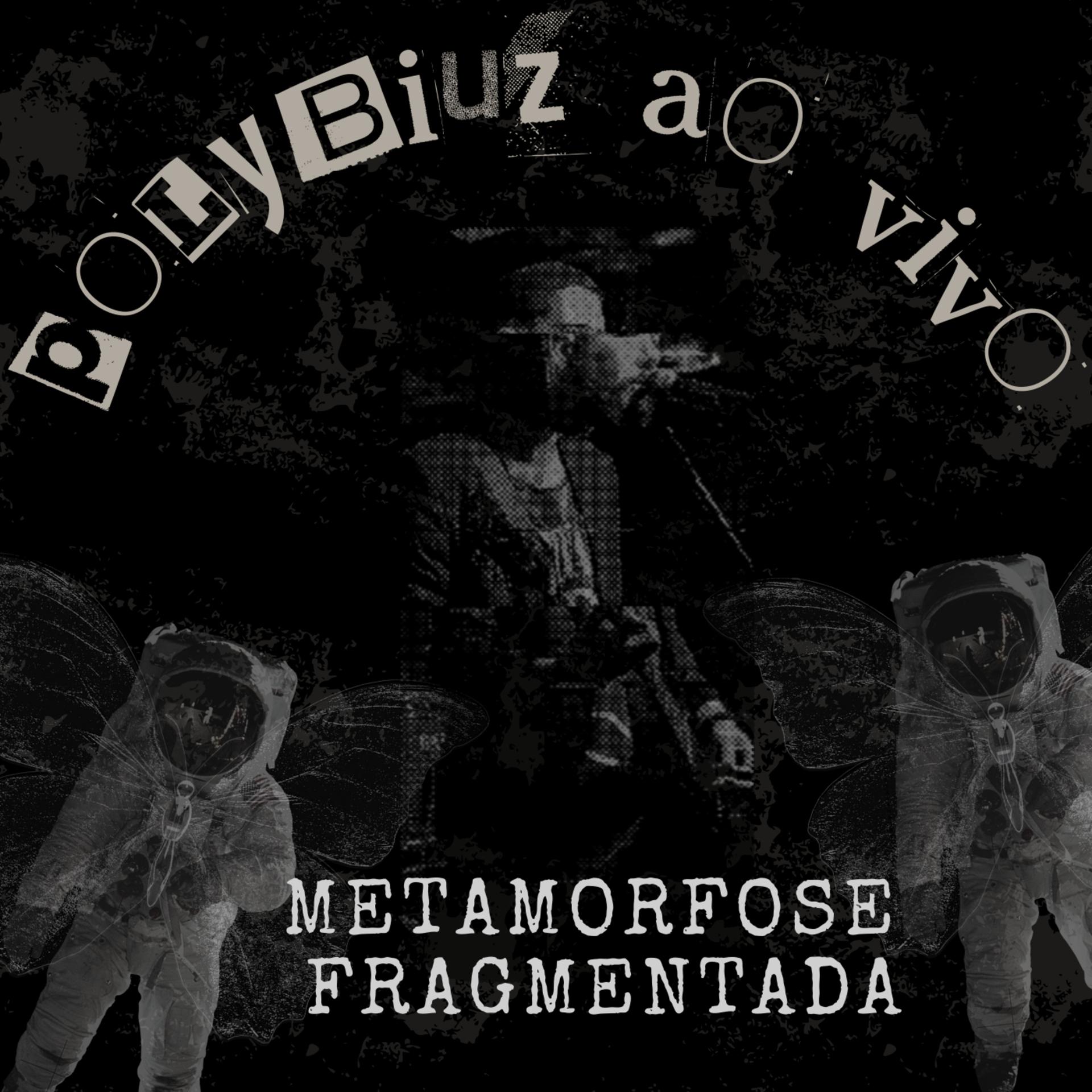 Постер альбома Metamorfose Fragmentada