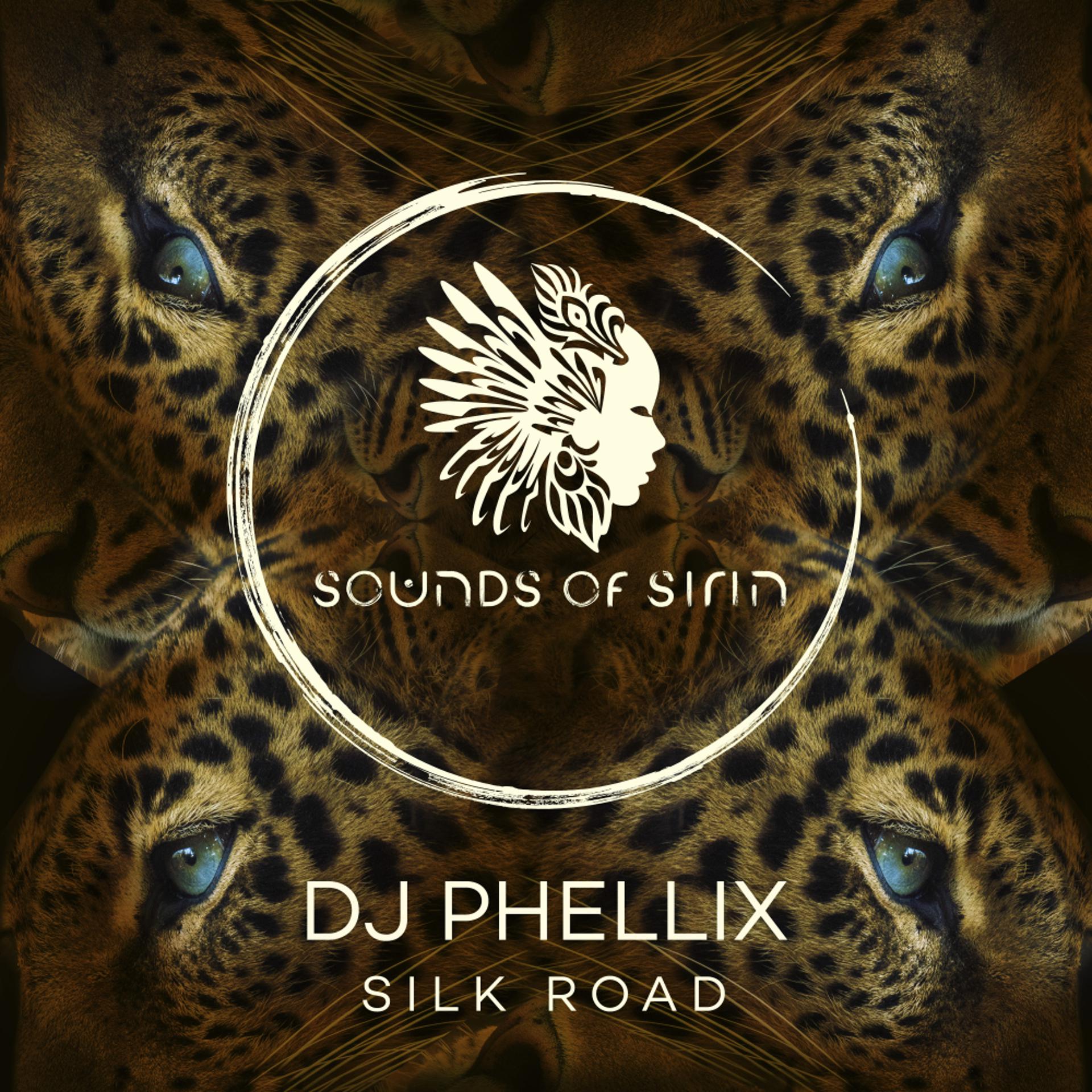 Постер альбома Silk Road