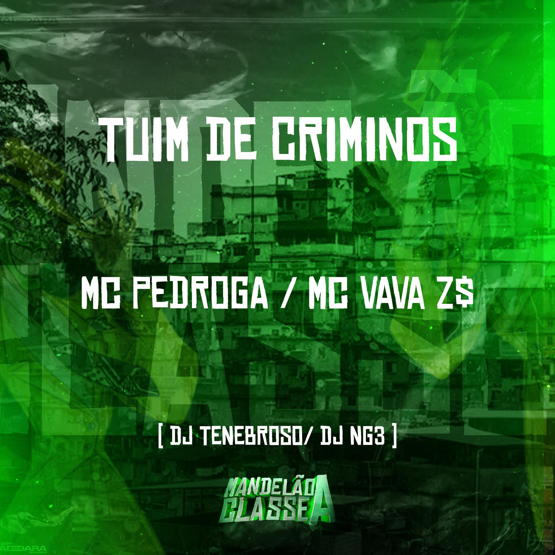 Постер альбома Tuim de Criminos