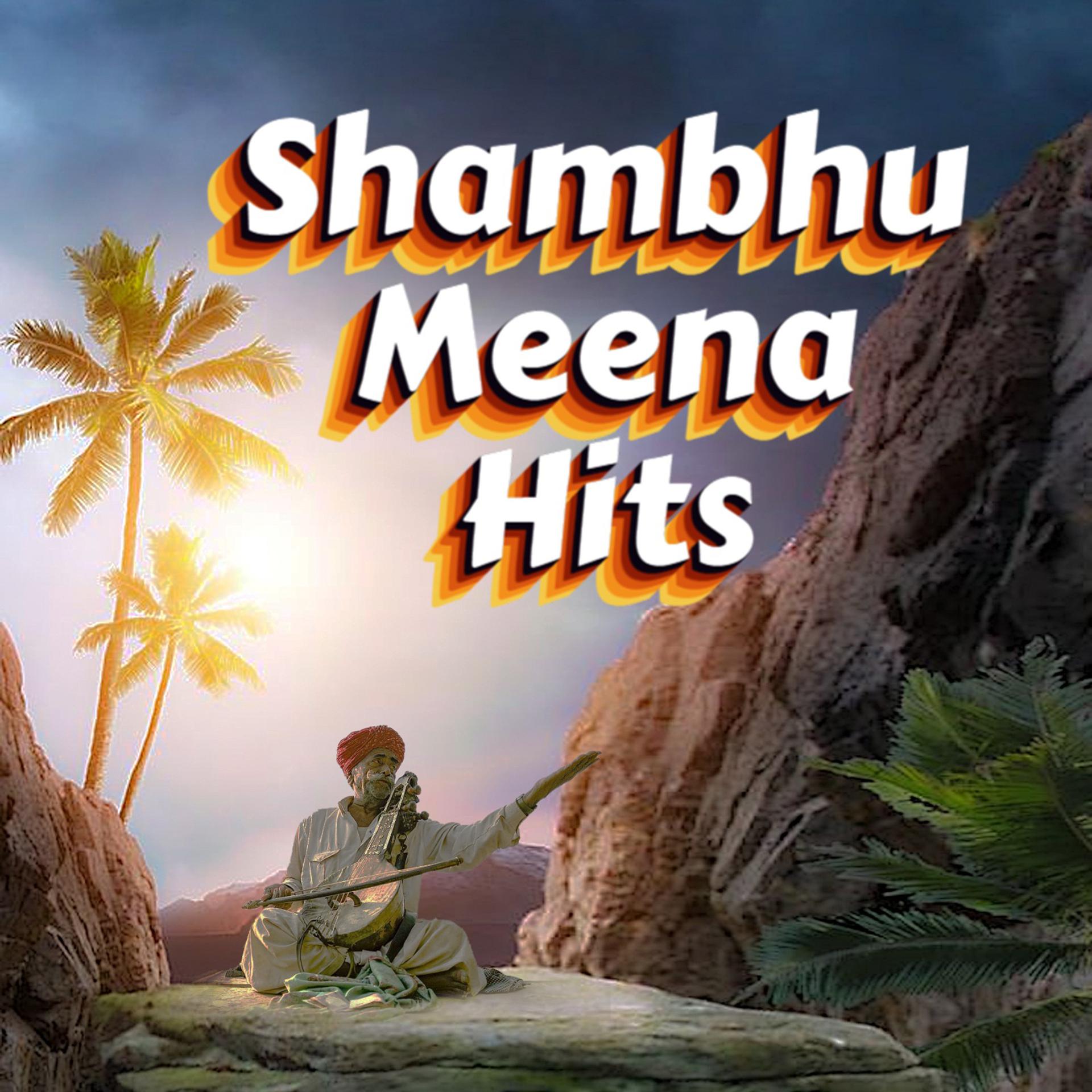 Постер альбома Shambhu Meena Hits