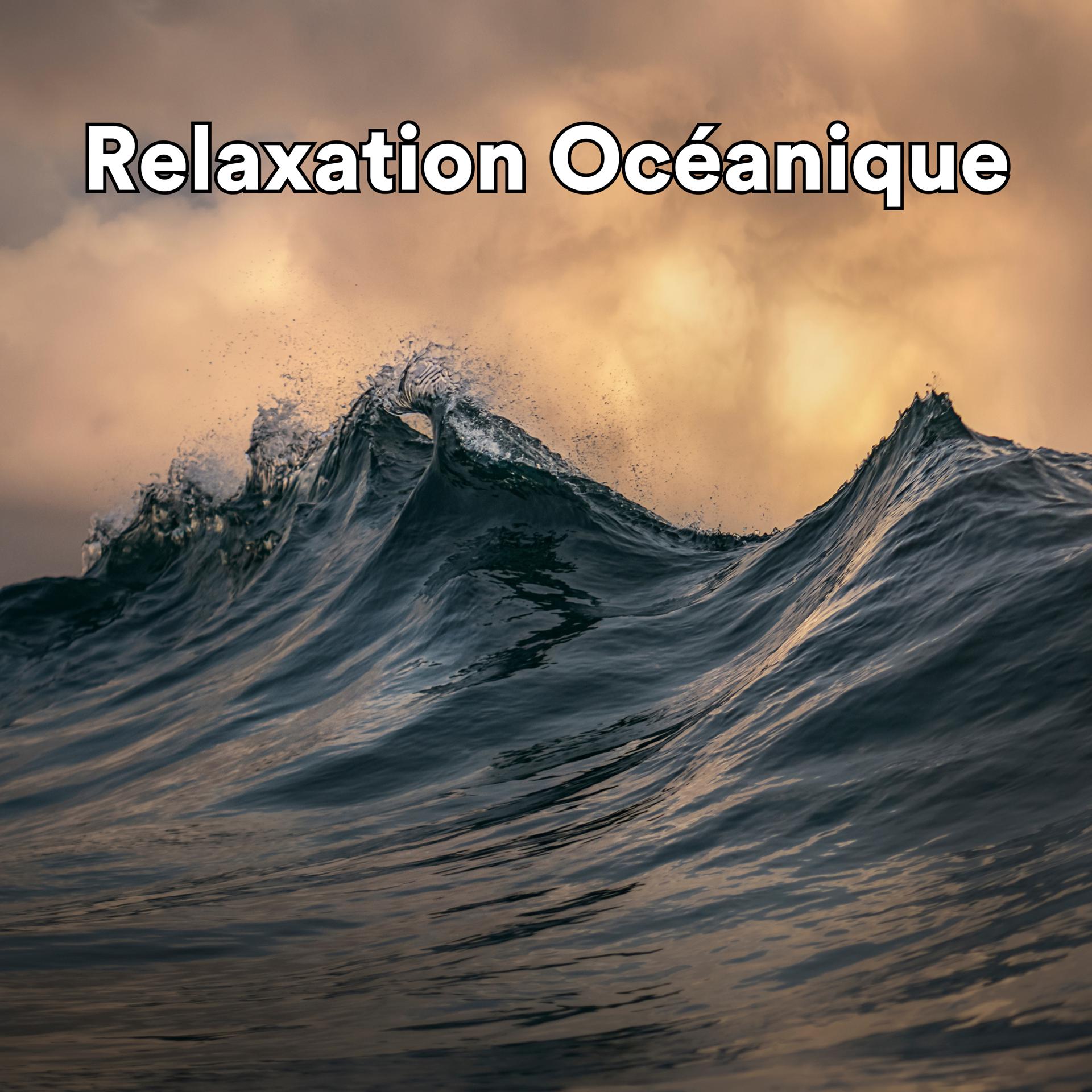 Постер альбома Relaxation Océanique
