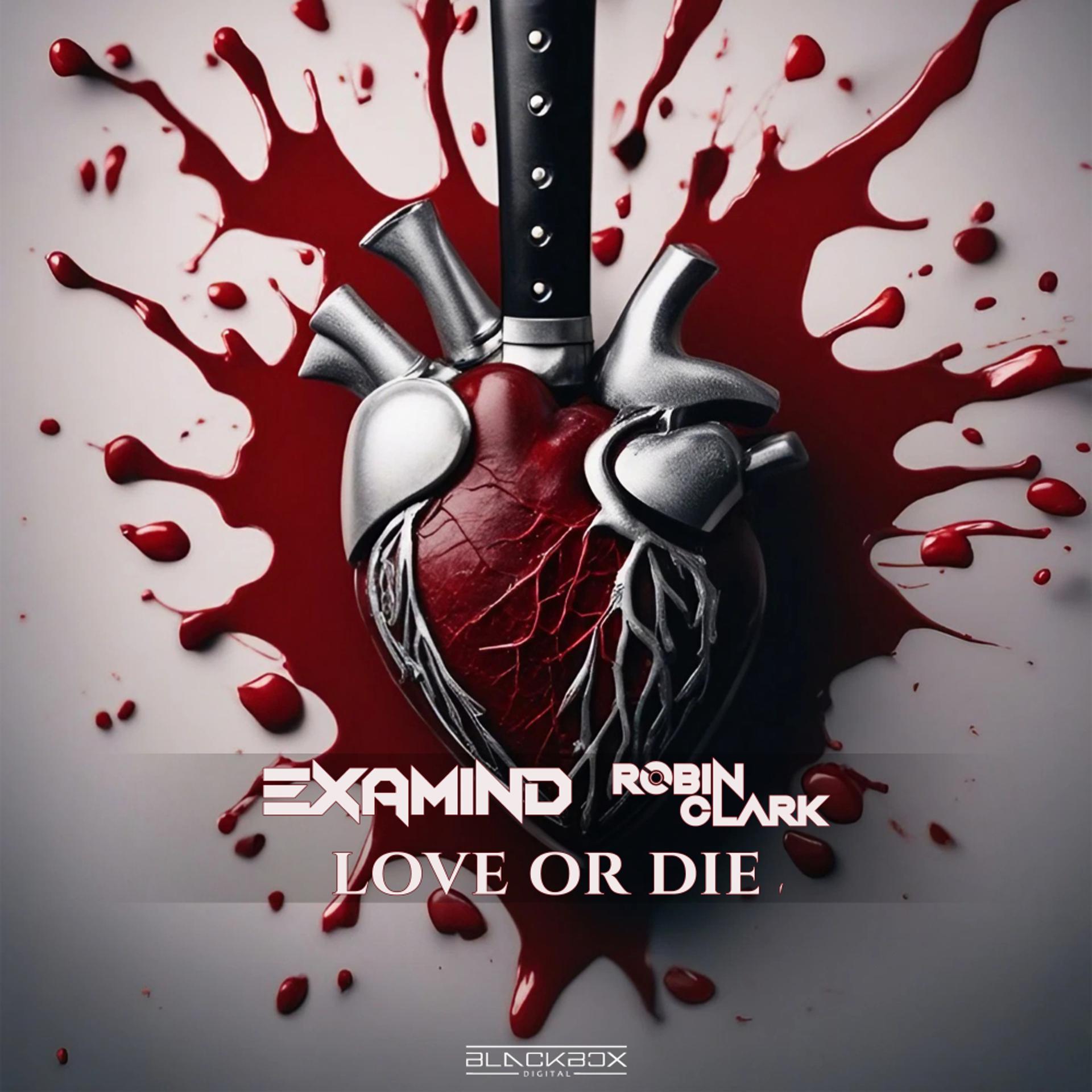 Постер альбома Love Or Die