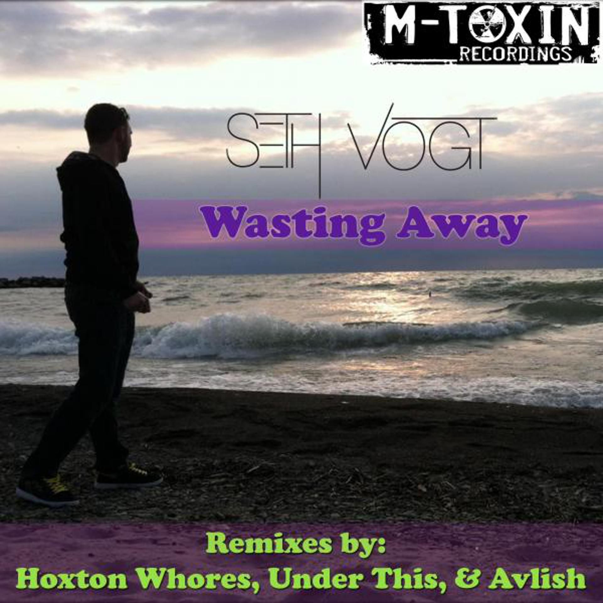 Постер альбома Seth Vogt - Wasting Away