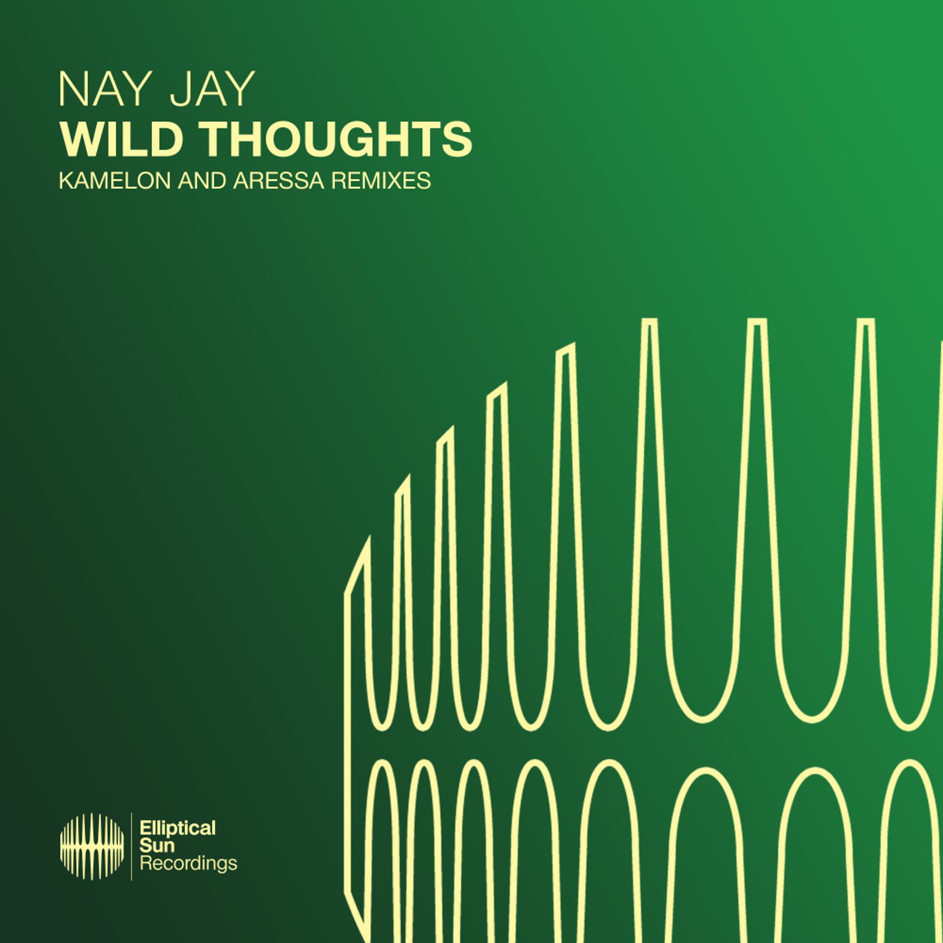 Постер альбома Wild Thoughts (Kamelon and Aressa Remixes)