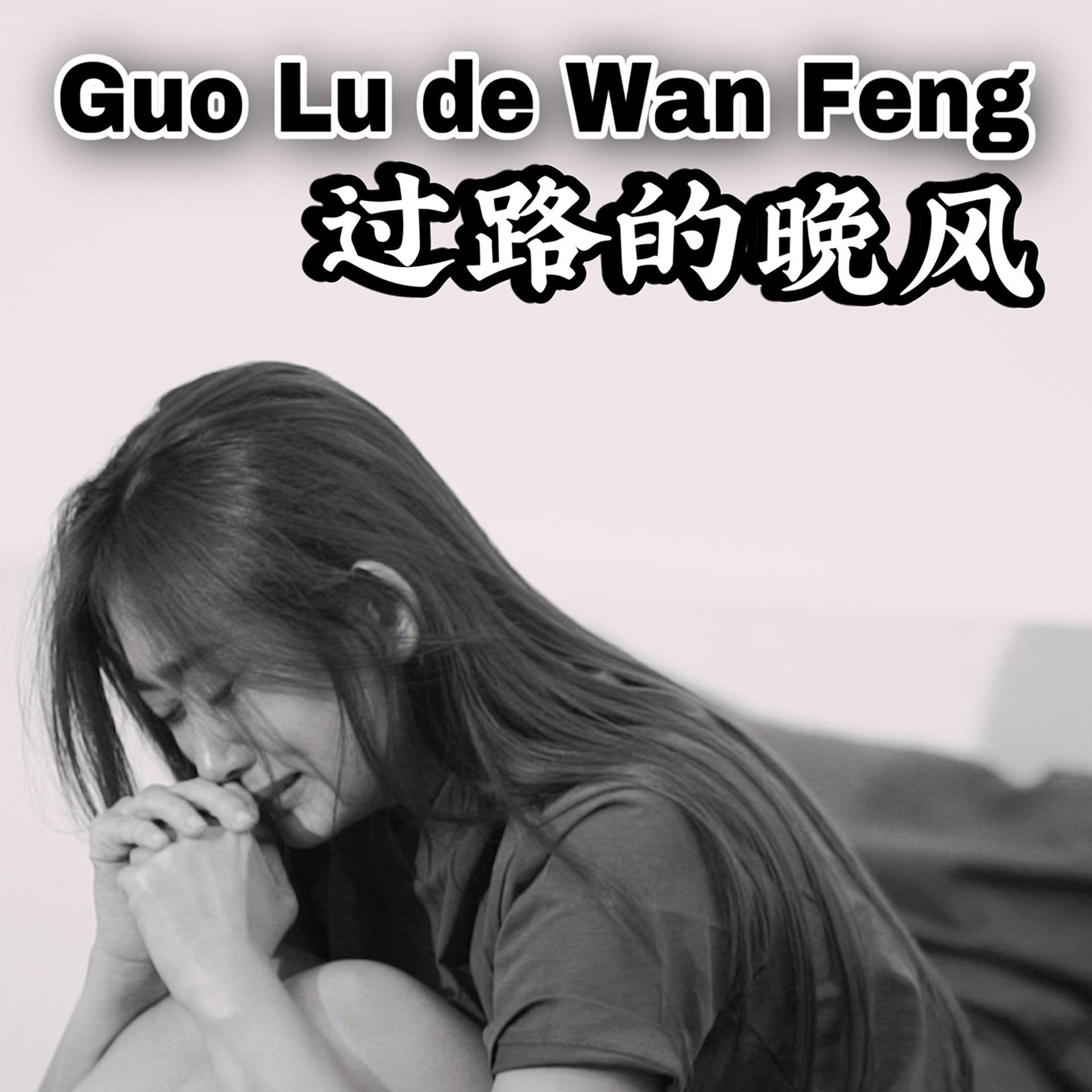 Постер альбома Guo Lu De Wan Feng