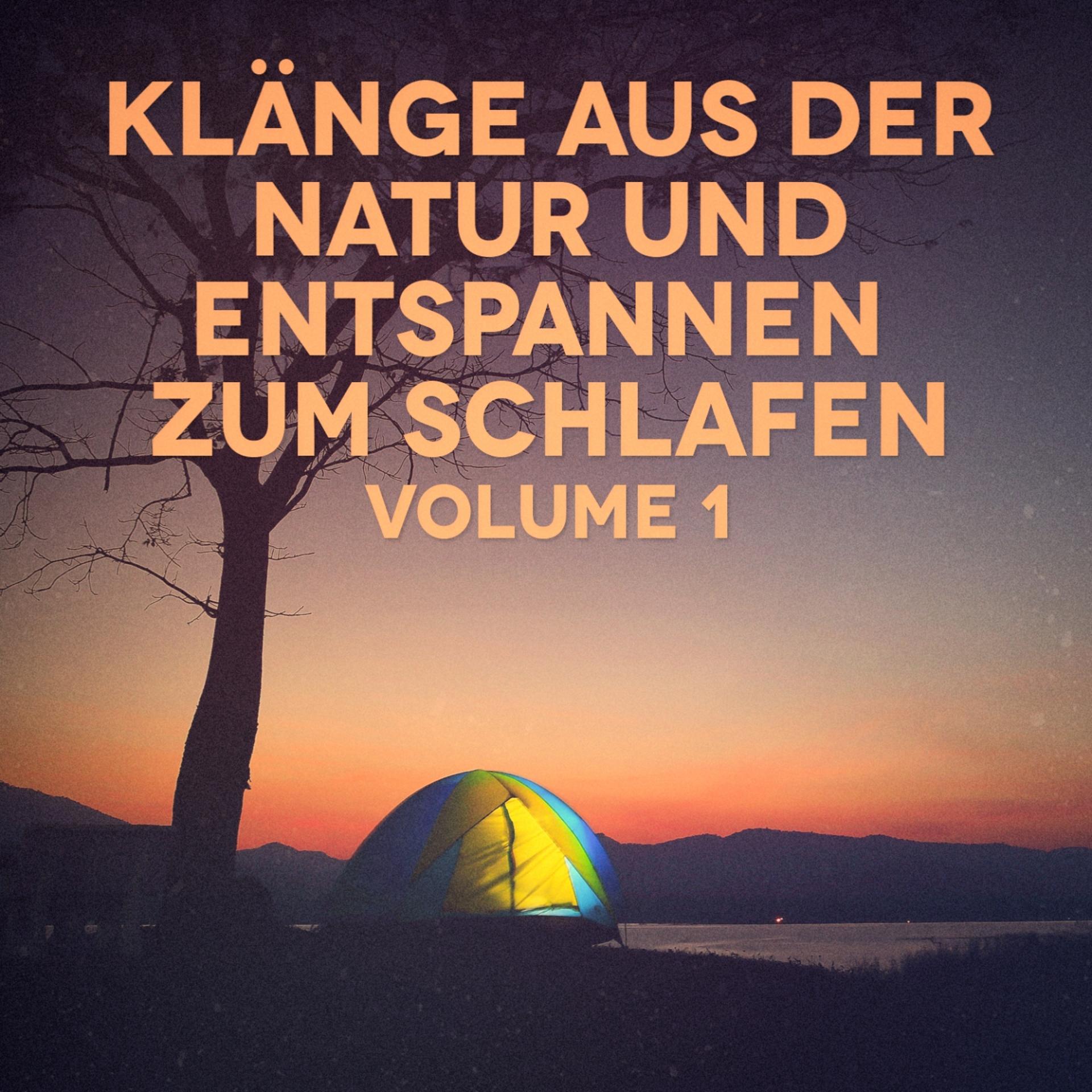 Постер альбома Klänge aus der Natur zum Schlafen und Entspannen