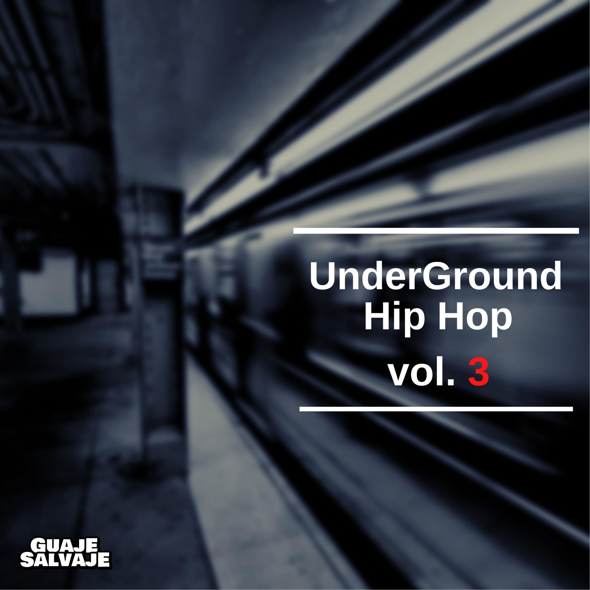 Постер альбома Underground Hip Hop, Vol. 3