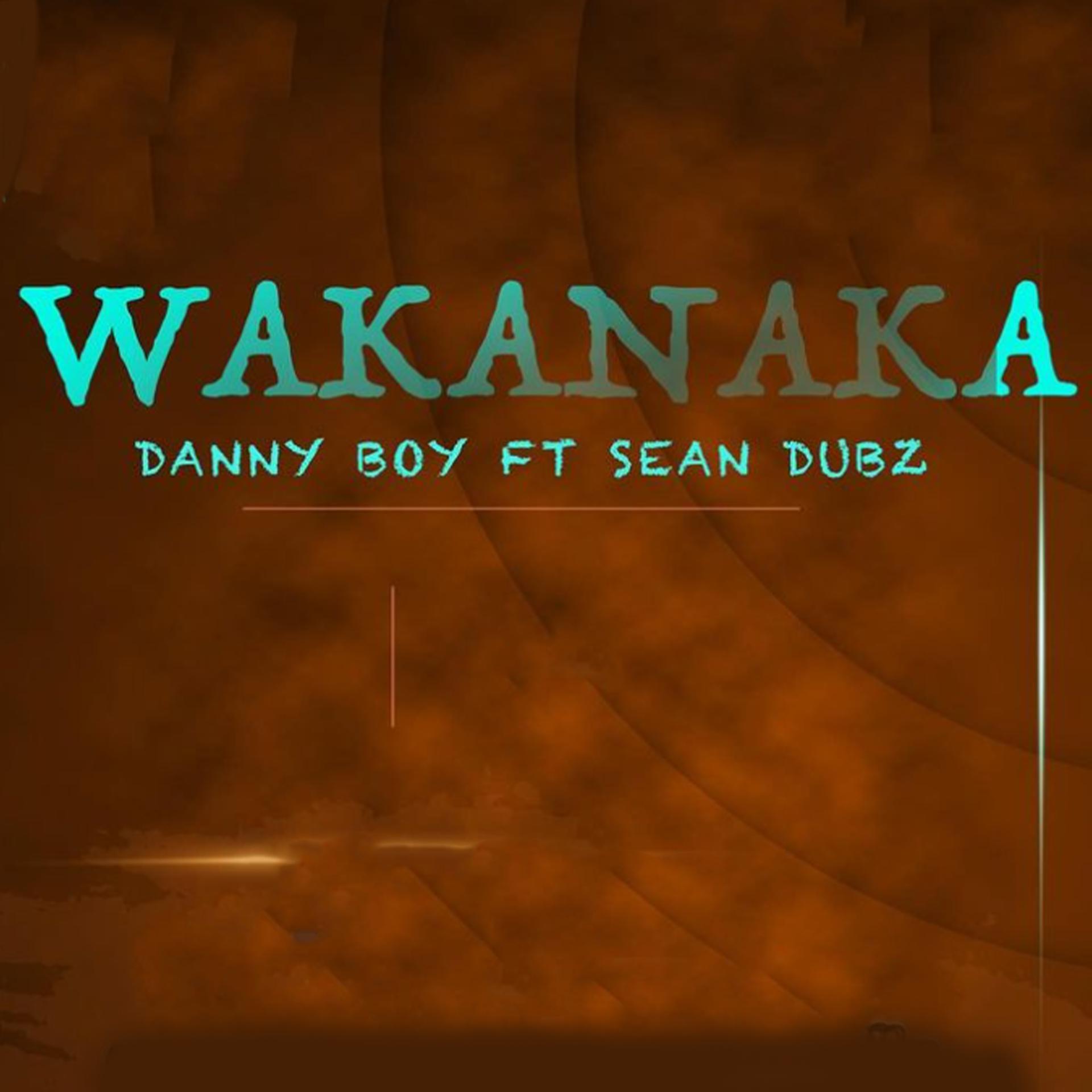 Постер альбома Wakanaka (feat. Sean Dubz)