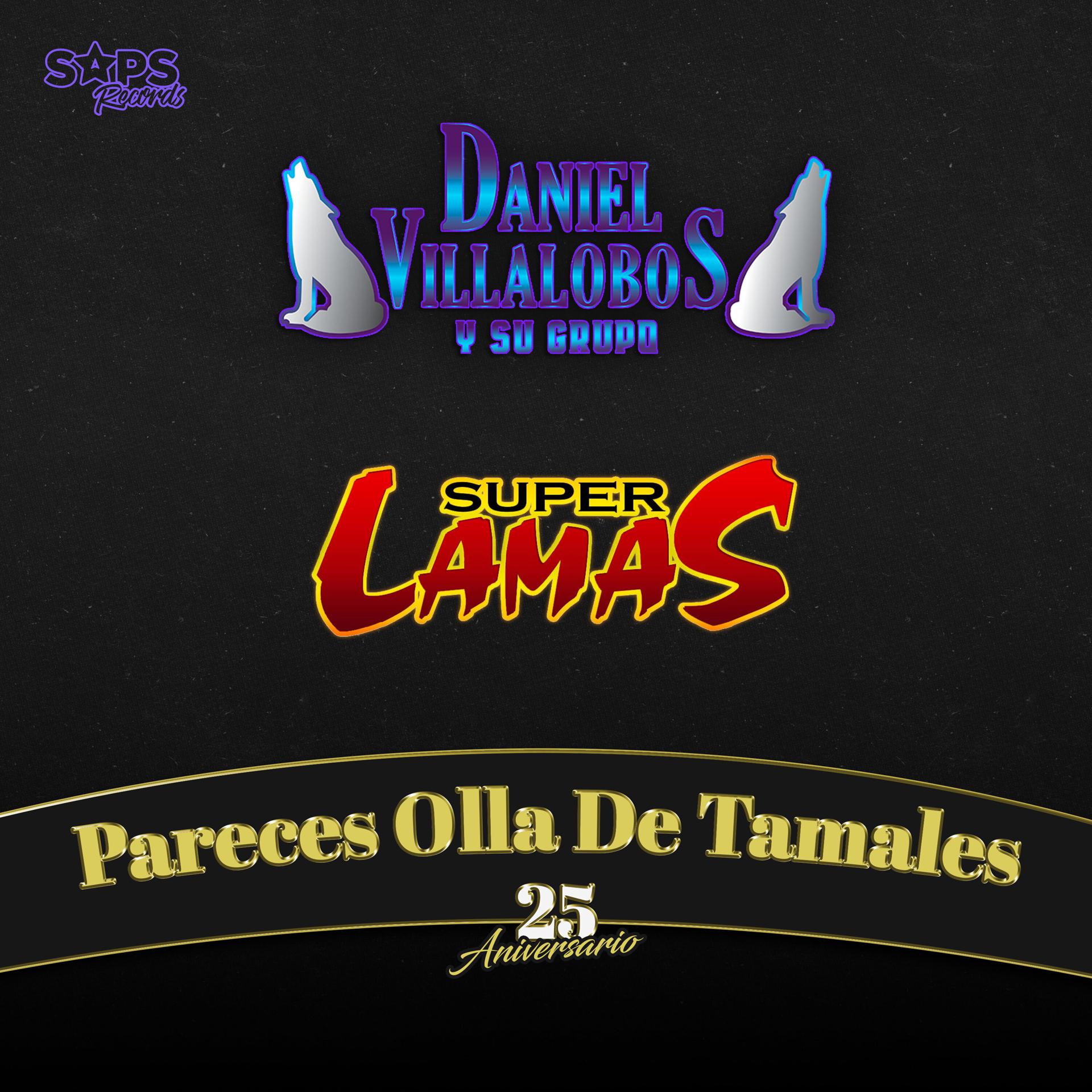 Постер альбома Pareces Olla de Tamales (25 Aniversario)