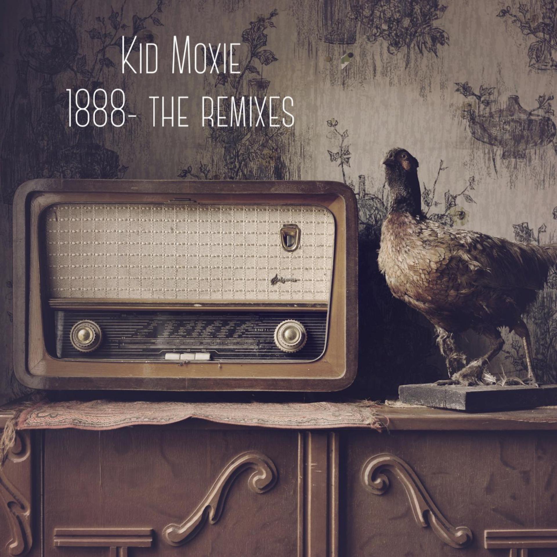 Постер альбома 1888 - The Remixes