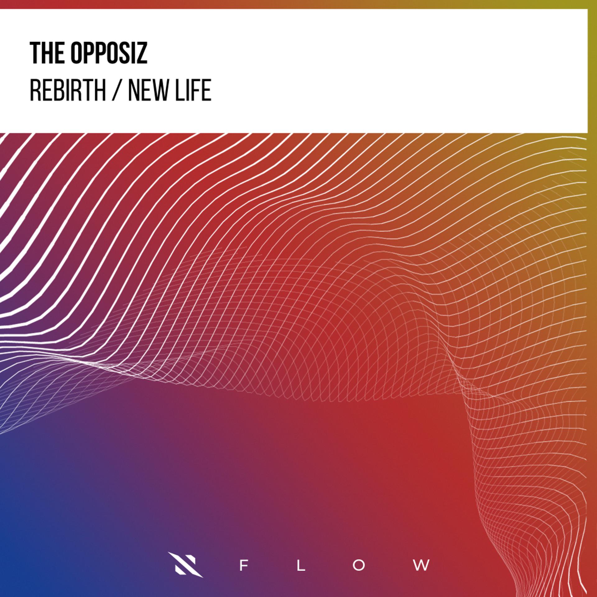 Постер альбома Rebirth / New Life