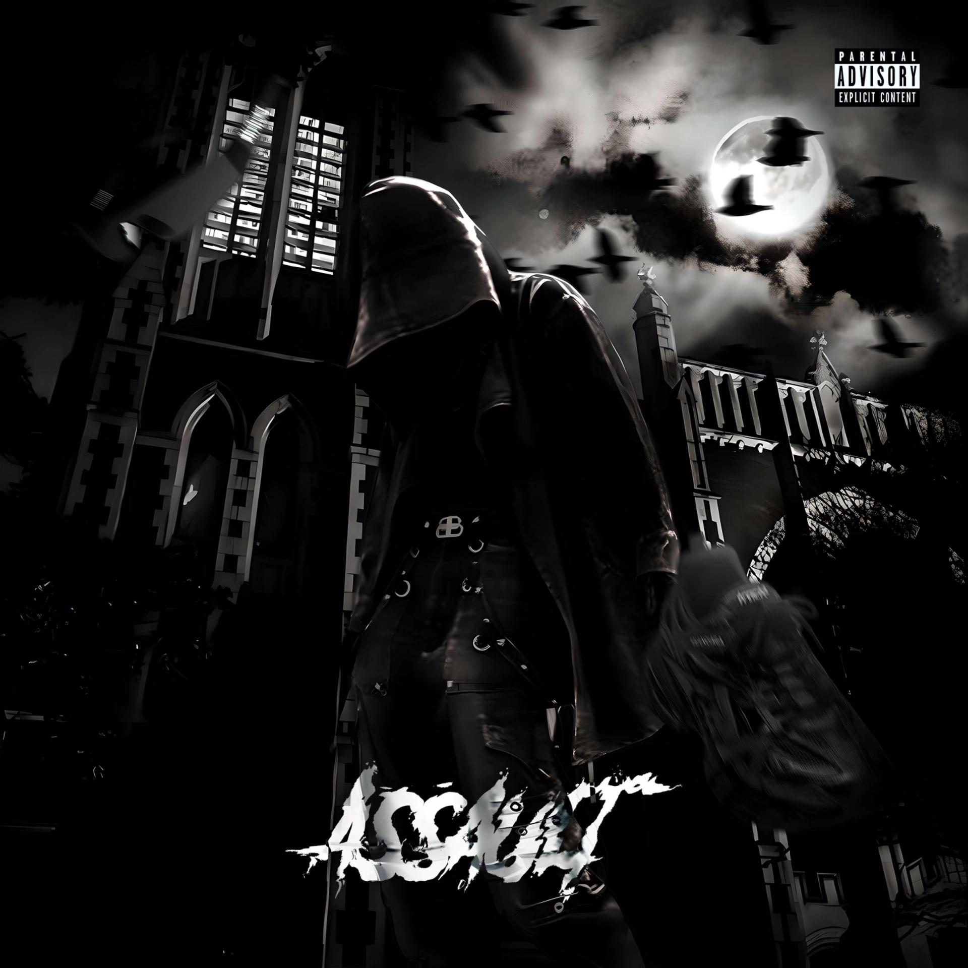 Постер альбома Assault(prod. Mk1 & Beshell)