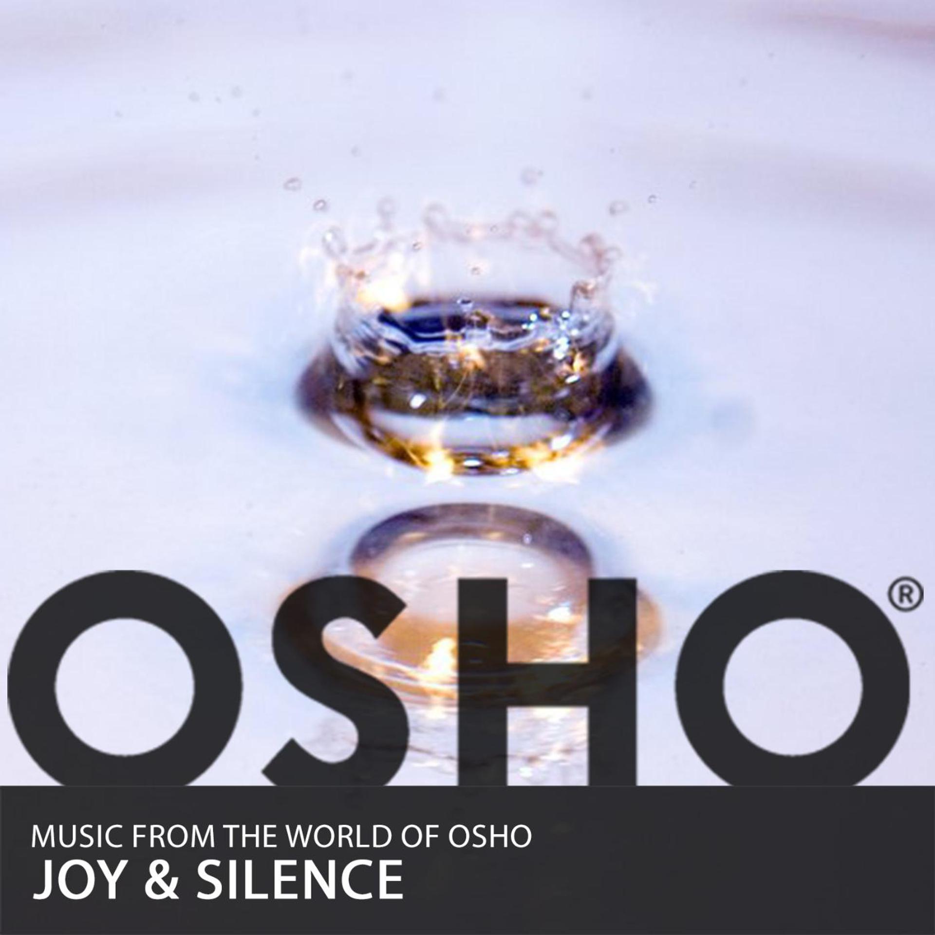 Постер альбома Joy & Silence